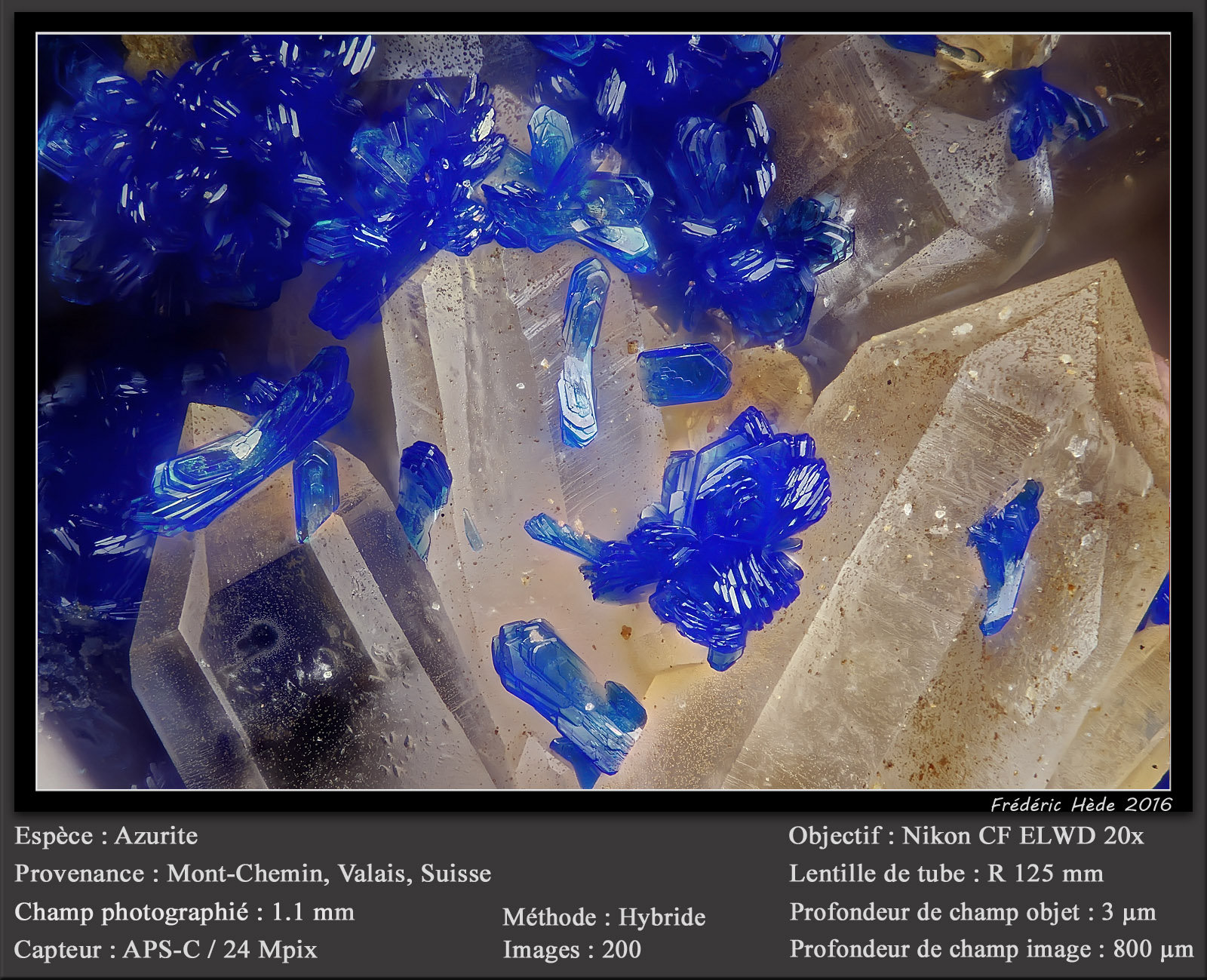 Azurite
fov 1.1 mm
(Autor: ploum)