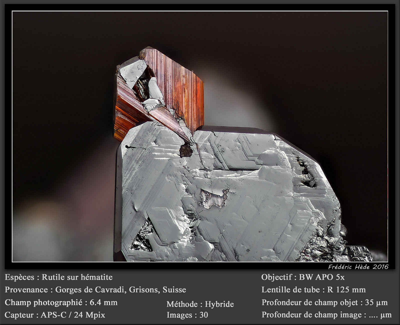 Rutile on Hematite
fov 6 mm
(Autor: ploum)