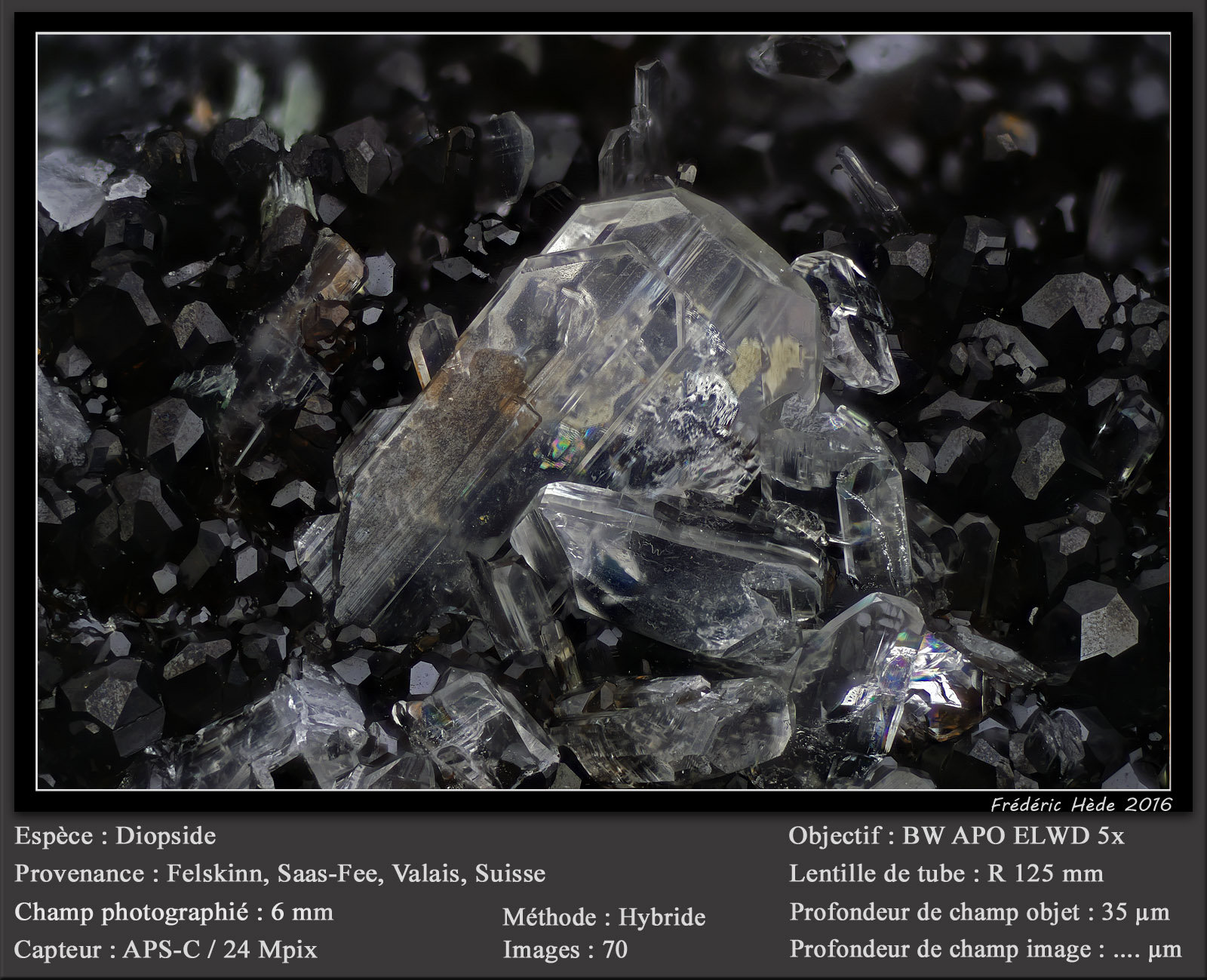Diopside
fov 6 mm
(Autor: ploum)