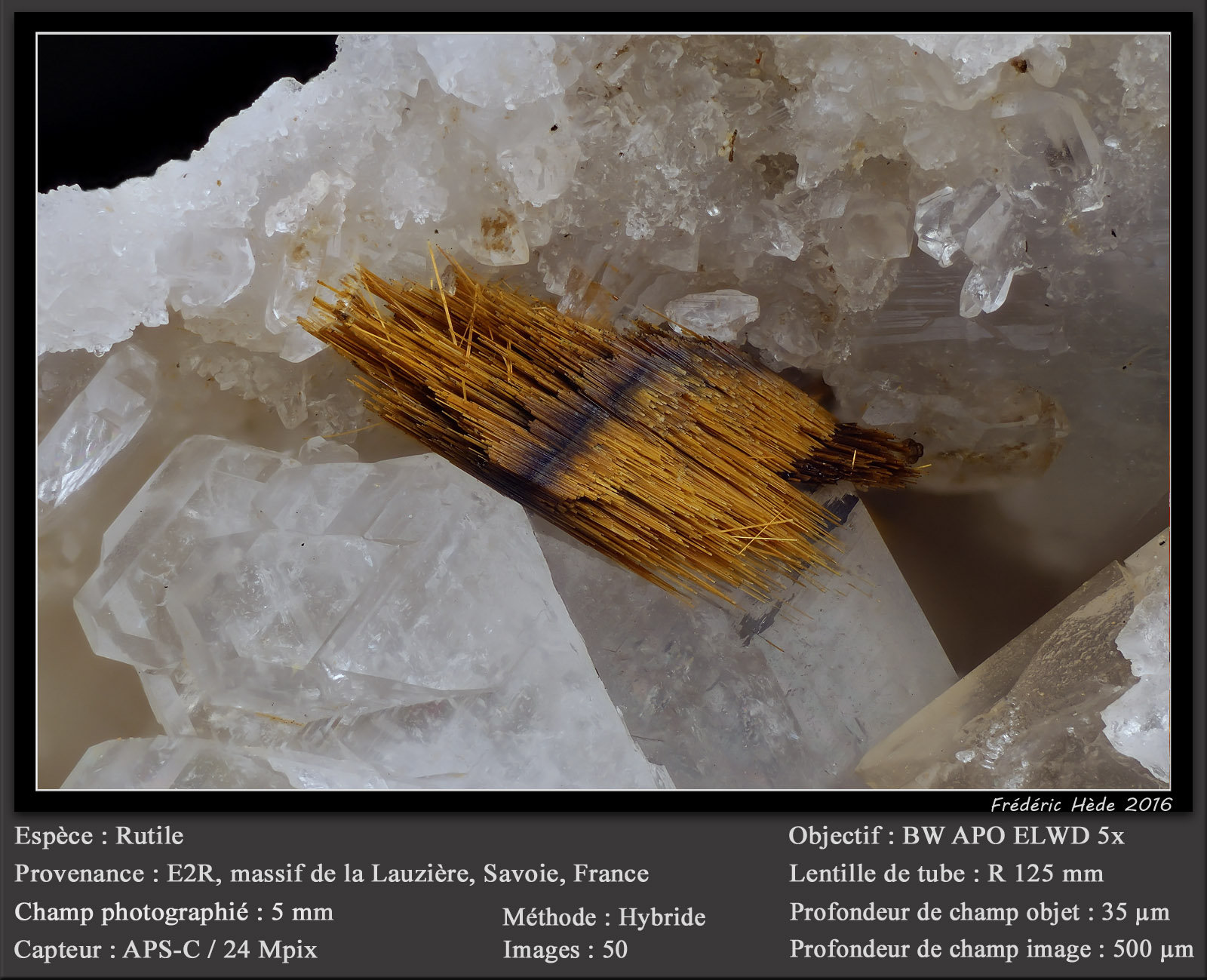 Rutile
fov 5 mm
(Autor: ploum)
