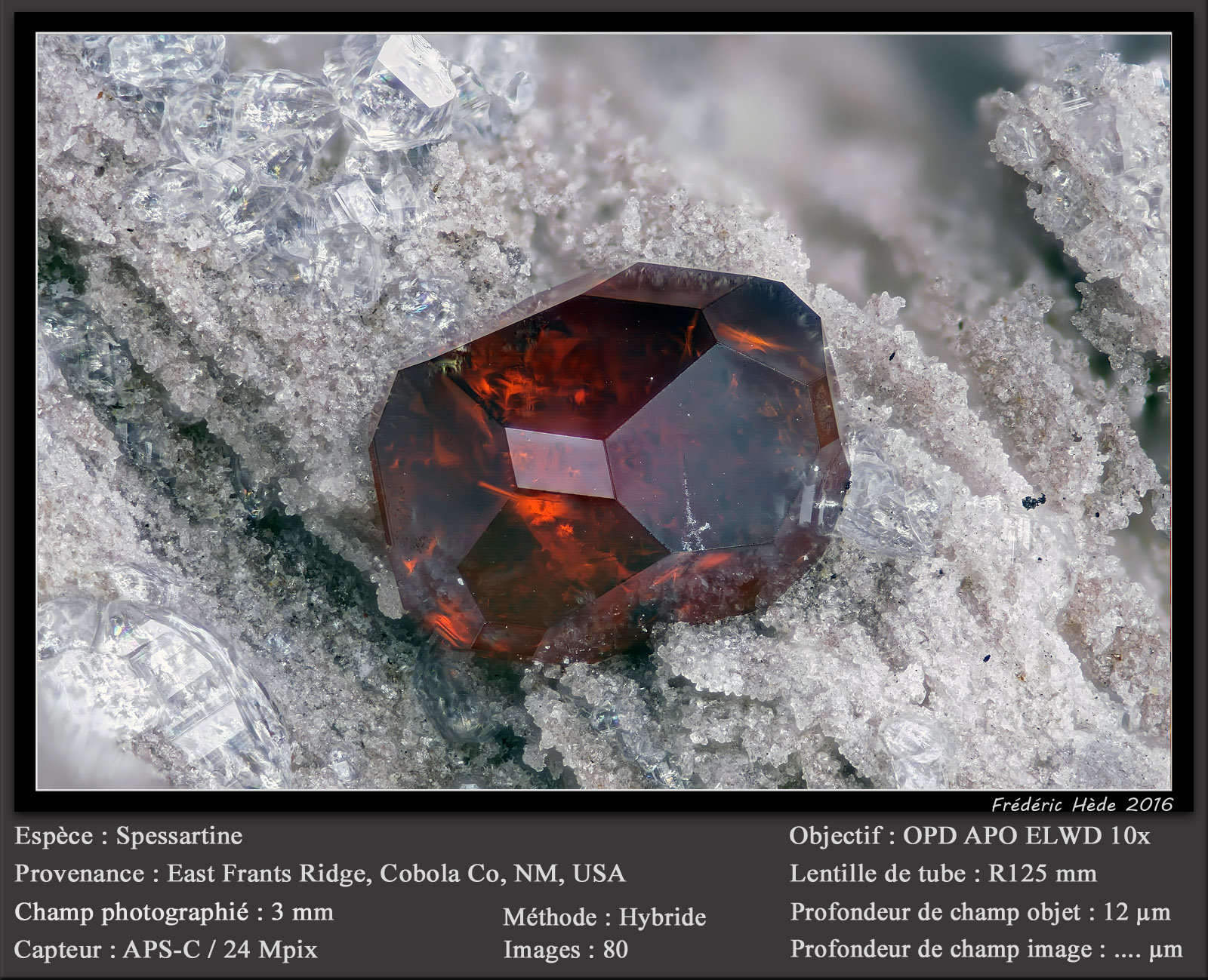 Spessartine (Garnet Group)
fov 3 mm
(Autor: ploum)