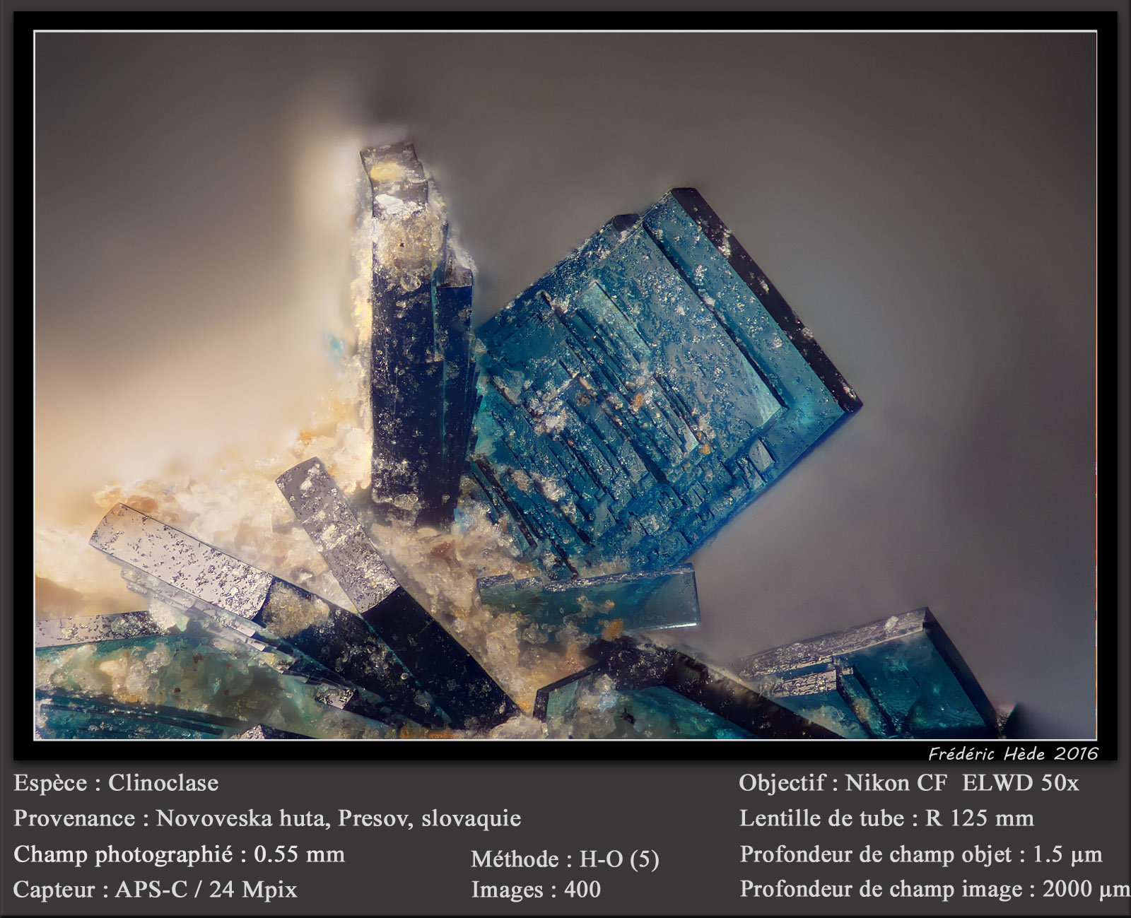 Clinoclase
fov 0.55 mm
(Autor: ploum)
