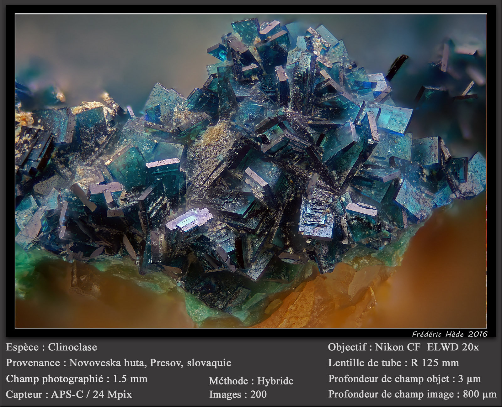 Clinoclase
fov 1.5 mm
(Autor: ploum)