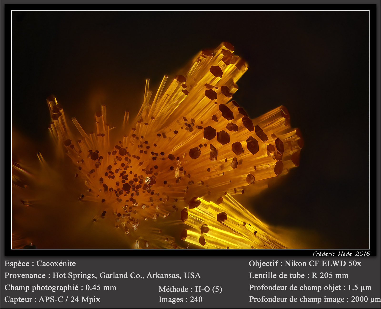 Cacoxenite
fov 0.45 mm
(Autor: ploum)