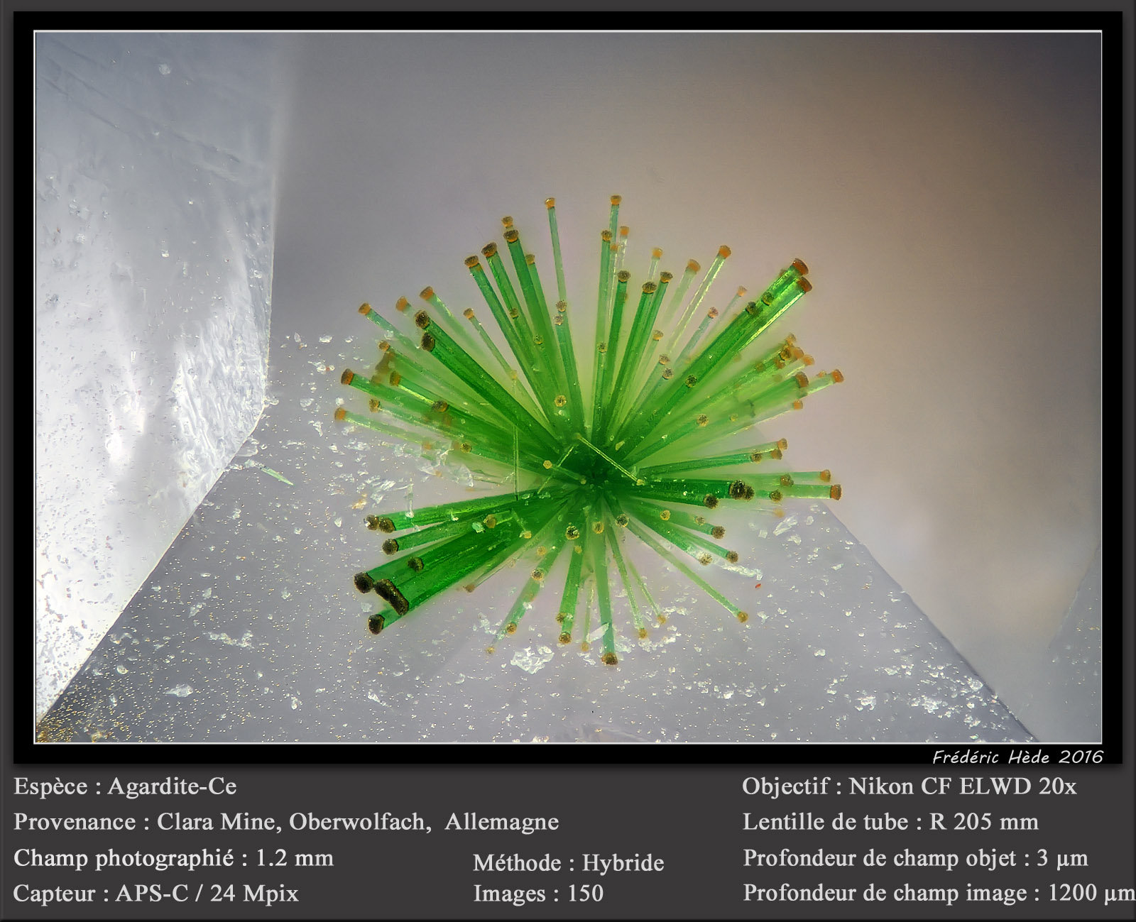 Agardite - Ce
fov 1.2 mm
(Autor: ploum)