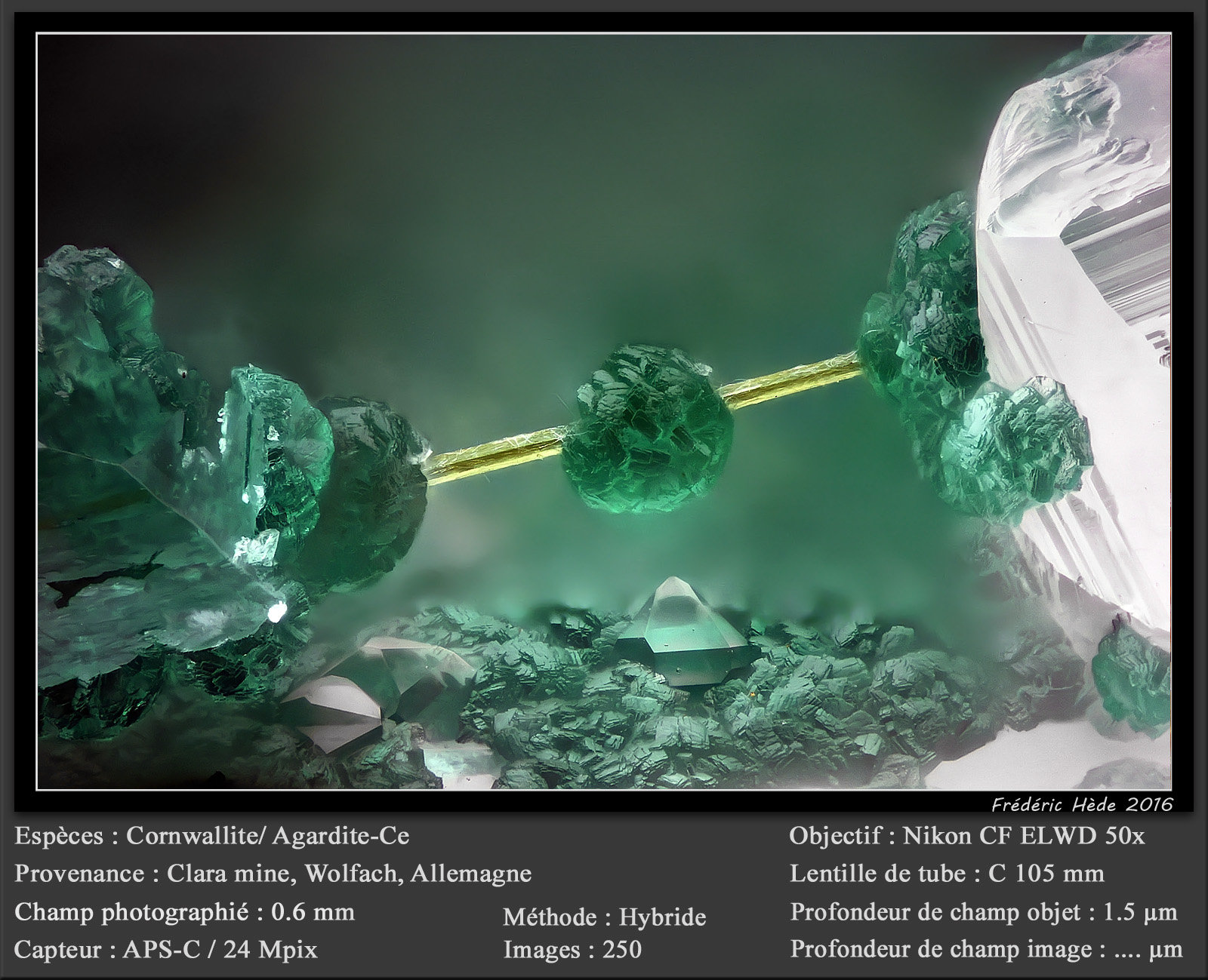 Cornwallite on Agardite - Ce
fov 0.6 mm
(Autor: ploum)