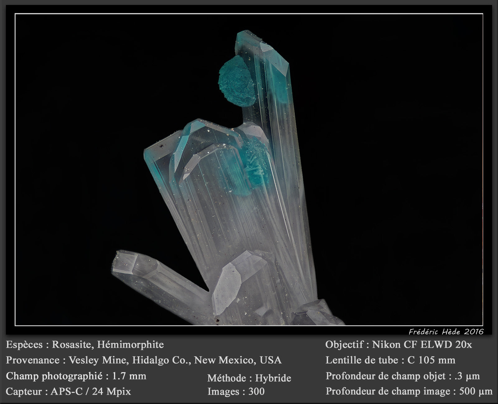 Rosasite and Hemimorphite
fov 1.7 mm
(Autor: ploum)