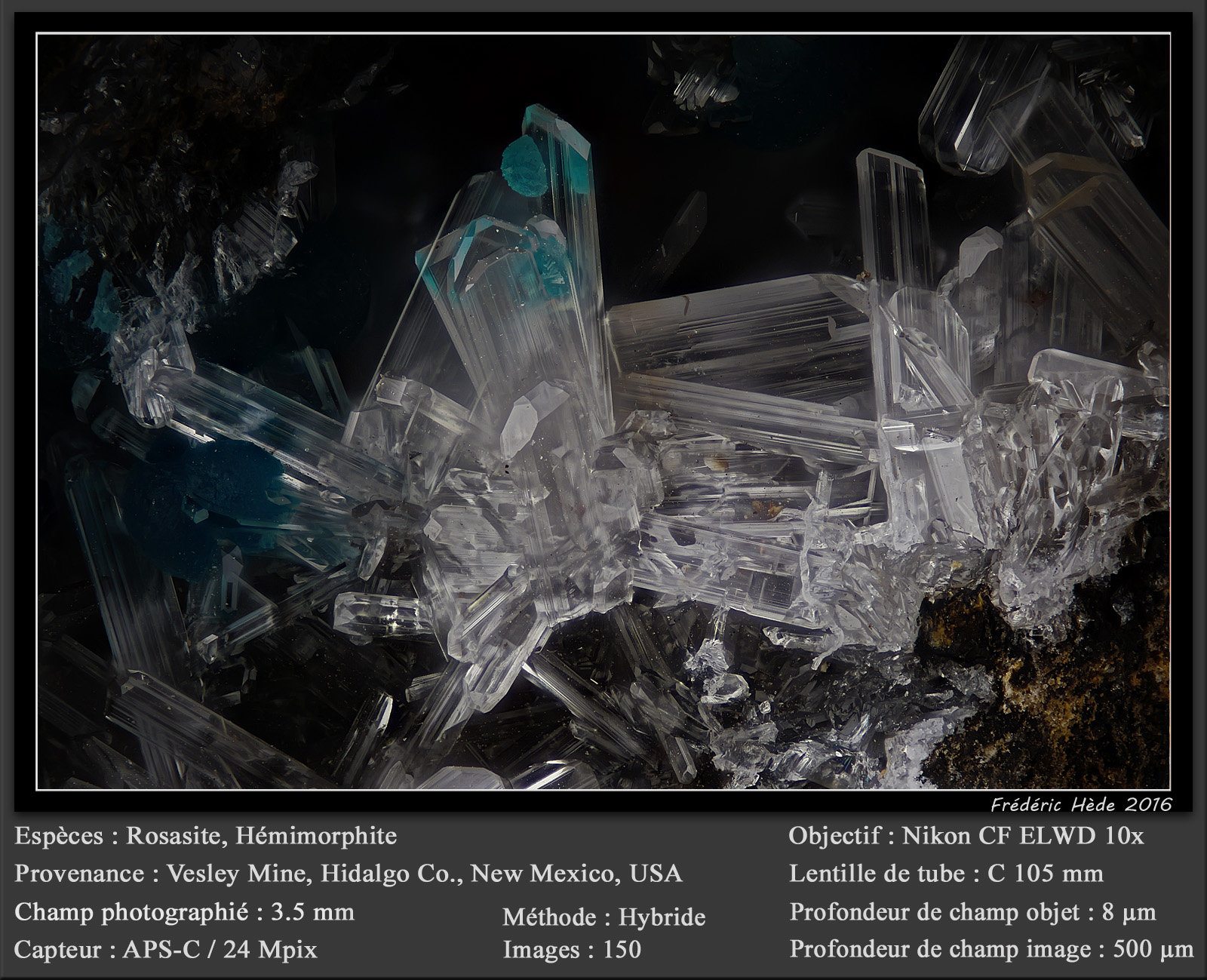 Rosasite and Hemimorphite
fov 3.5 mm
(Autor: ploum)