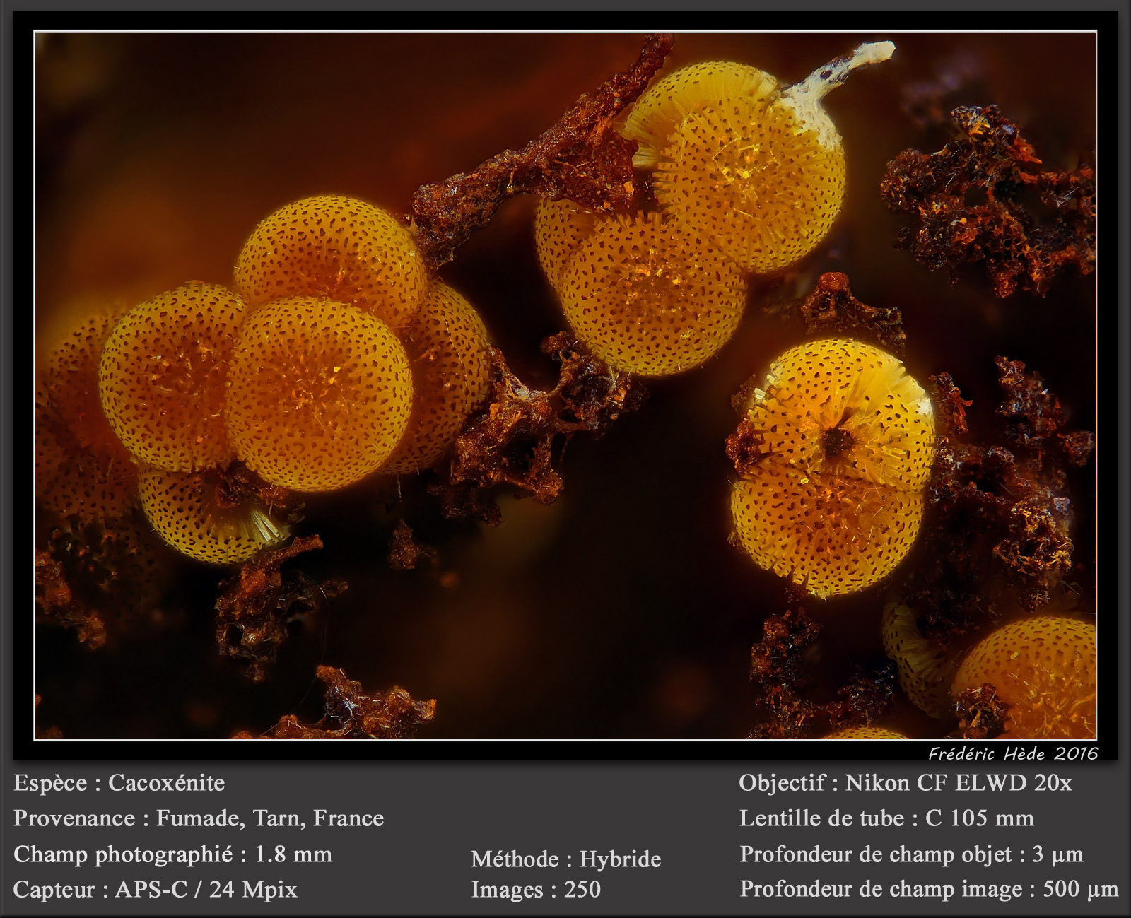 Cacoxenite
fov 1.8 mm
(Autor: ploum)