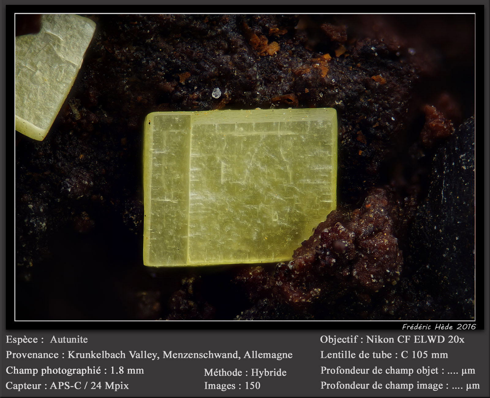 Autunite
fov 1.8 mm
(Autor: ploum)