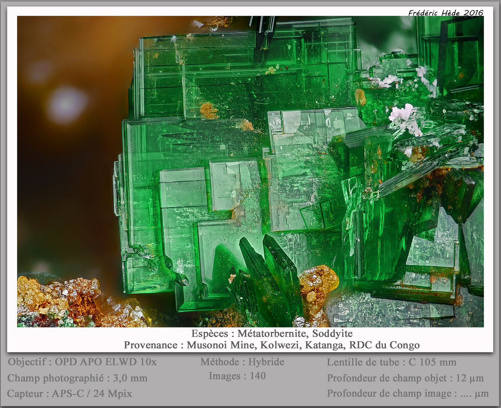 Metatorbernite
fov 3.0 mm
(Autor: ploum)