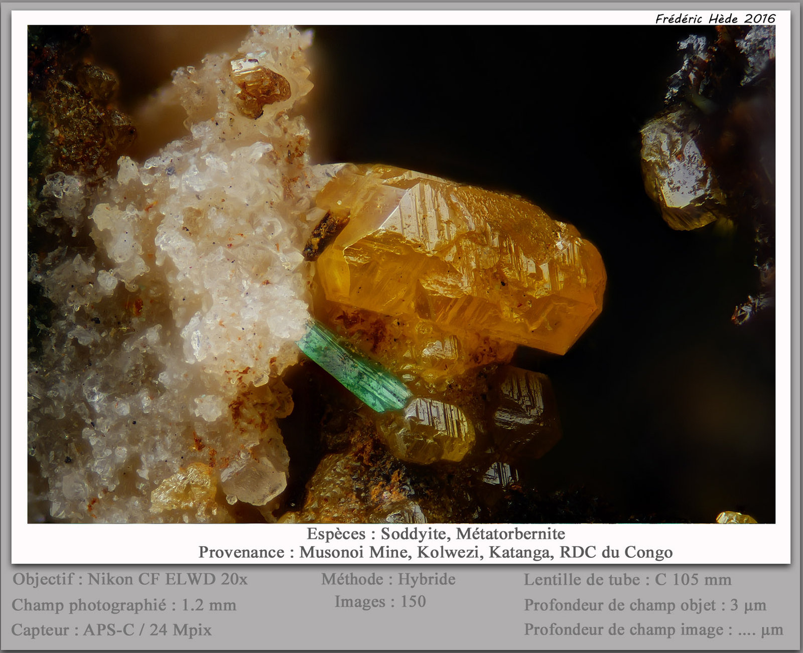 Soddyite and Metatorbernite
fov 1.2 mm
(Autor: ploum)