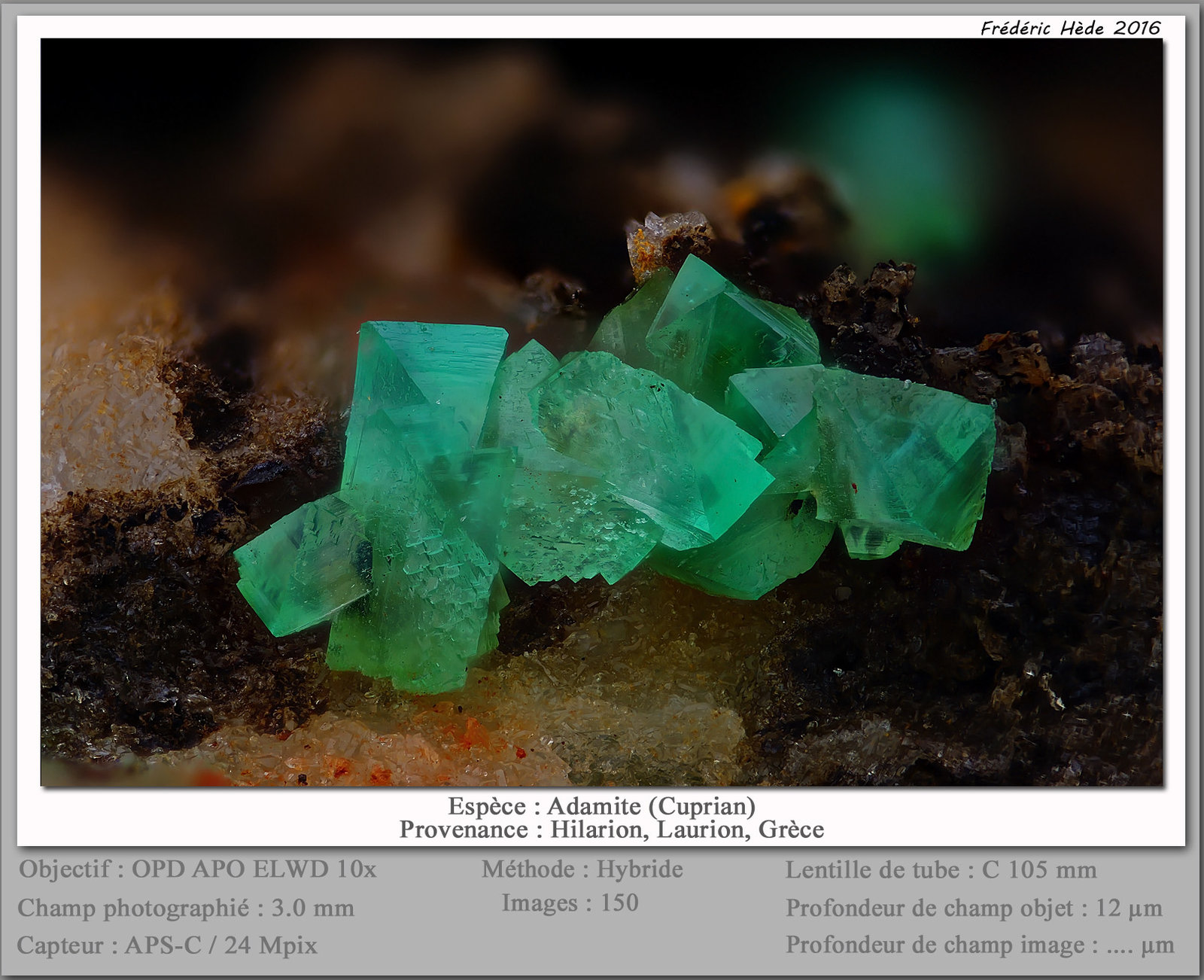 Adamite (variety cuprian adamite)
fov 6.0 mm
(Autor: ploum)