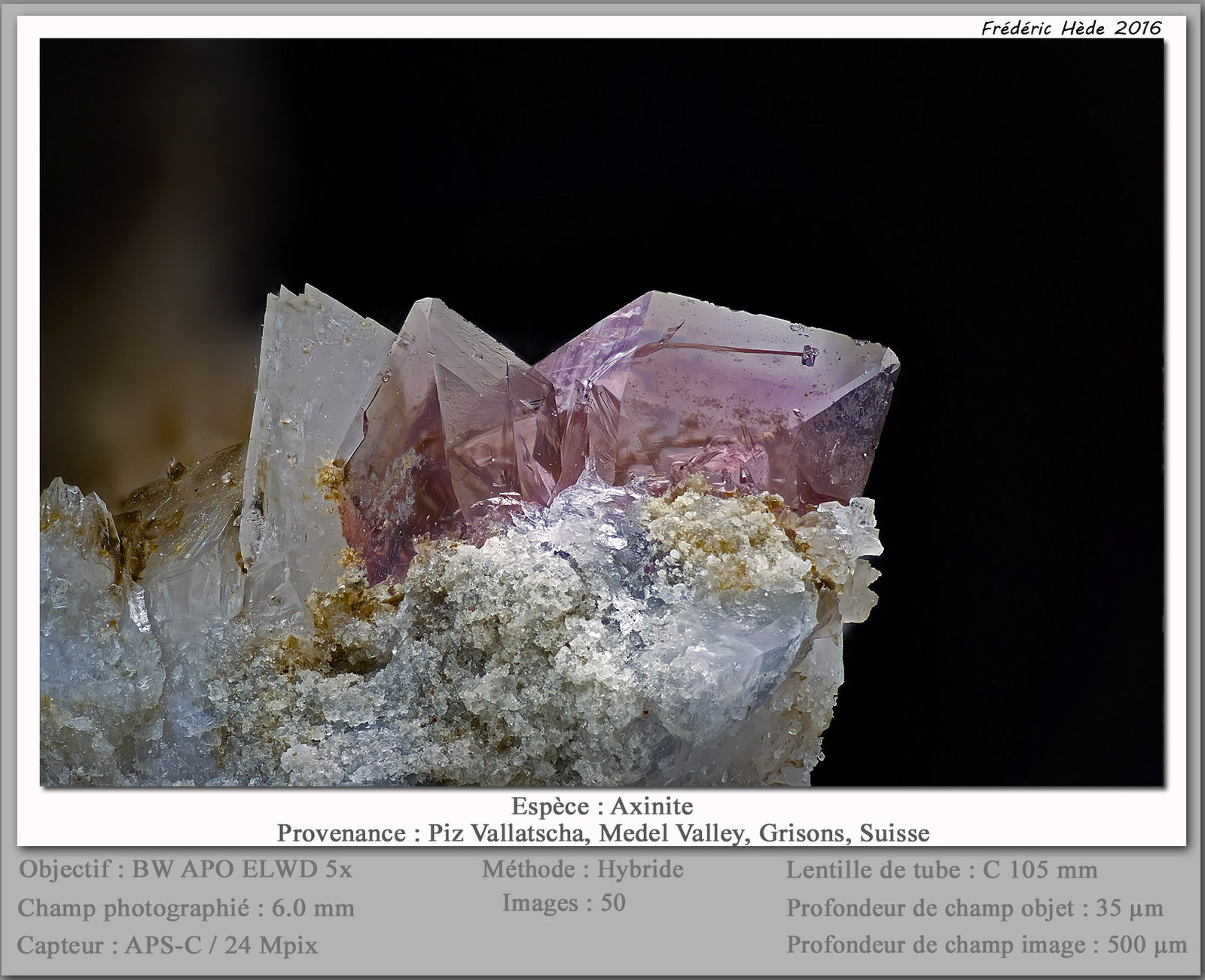 Axinite (Group)
fov 6.0 mm
(Autor: ploum)