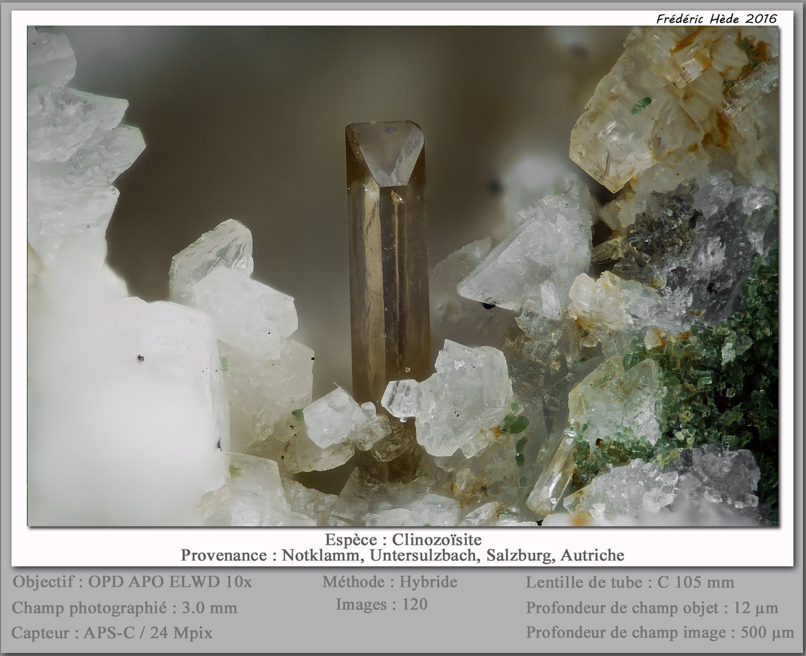 Clinozoisite
fov 3.0 mm
(Autor: ploum)