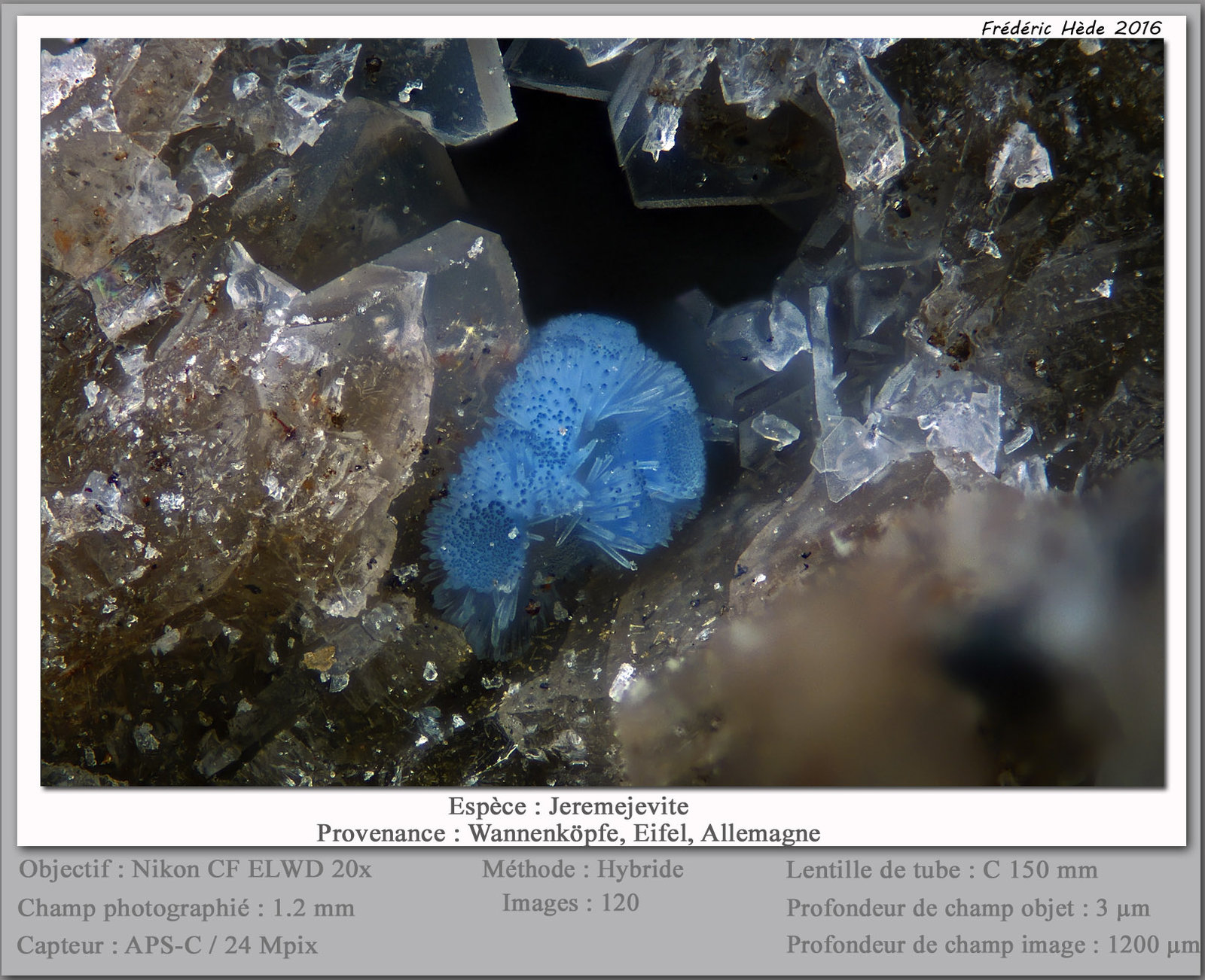 Jeremejevite
fov 1.2 mm
(Autor: ploum)