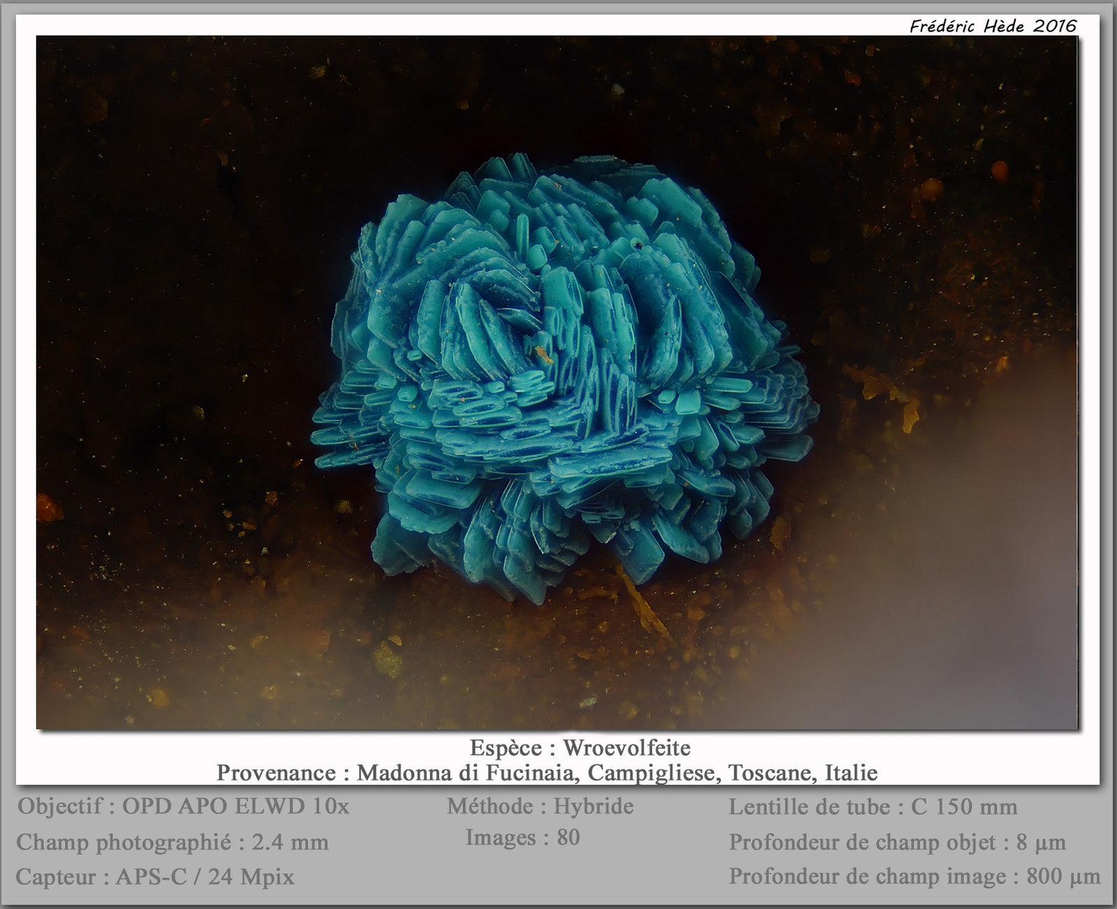 Wroevolfeite
fov 2.4 mm
(Autor: ploum)
