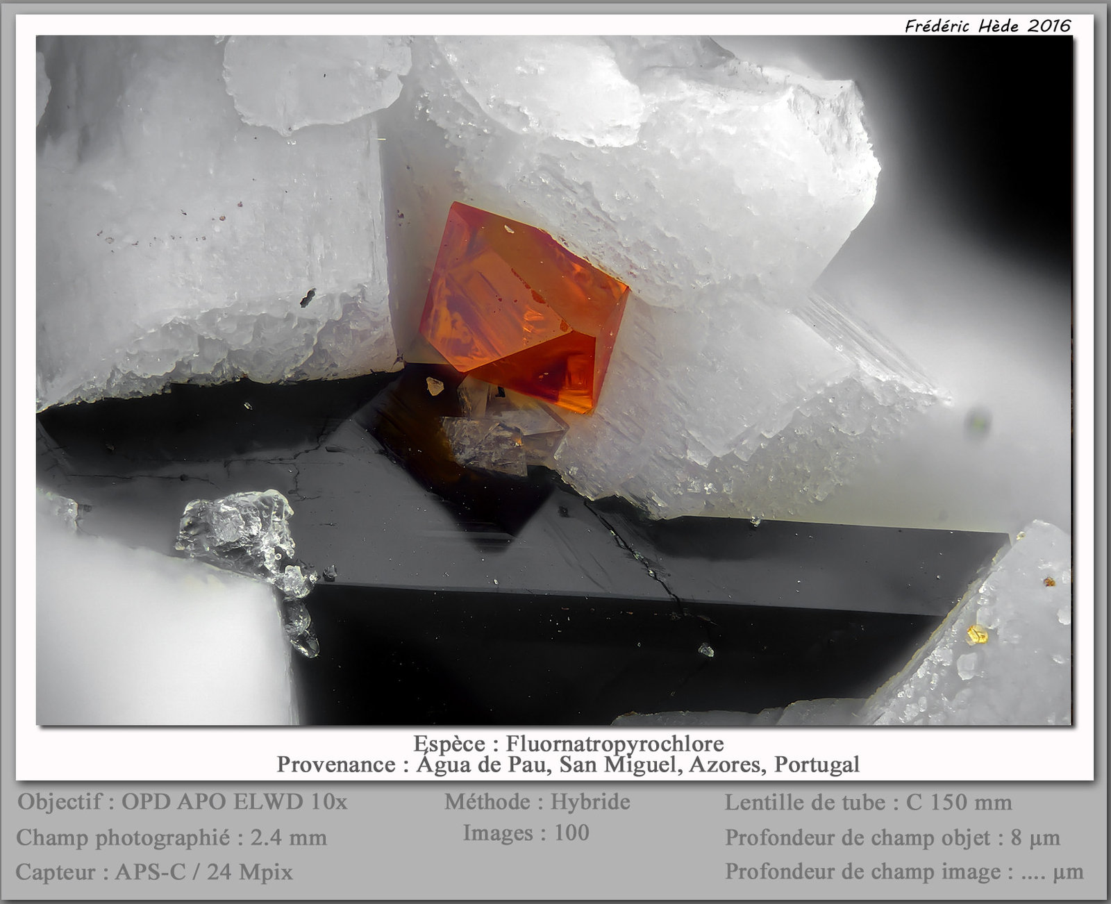 Fluornatropyrochlore
fov 2.4 mm
(Autor: ploum)