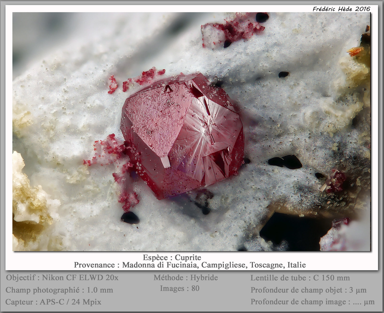 Cuprite
1.0 mm
(Autor: ploum)