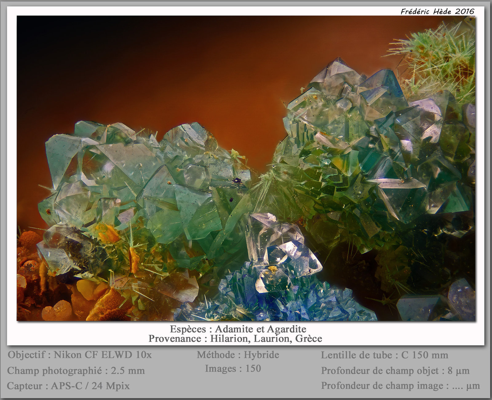 Adamite and Agardite-(Y)
fov 2.5 mm
(Autor: ploum)