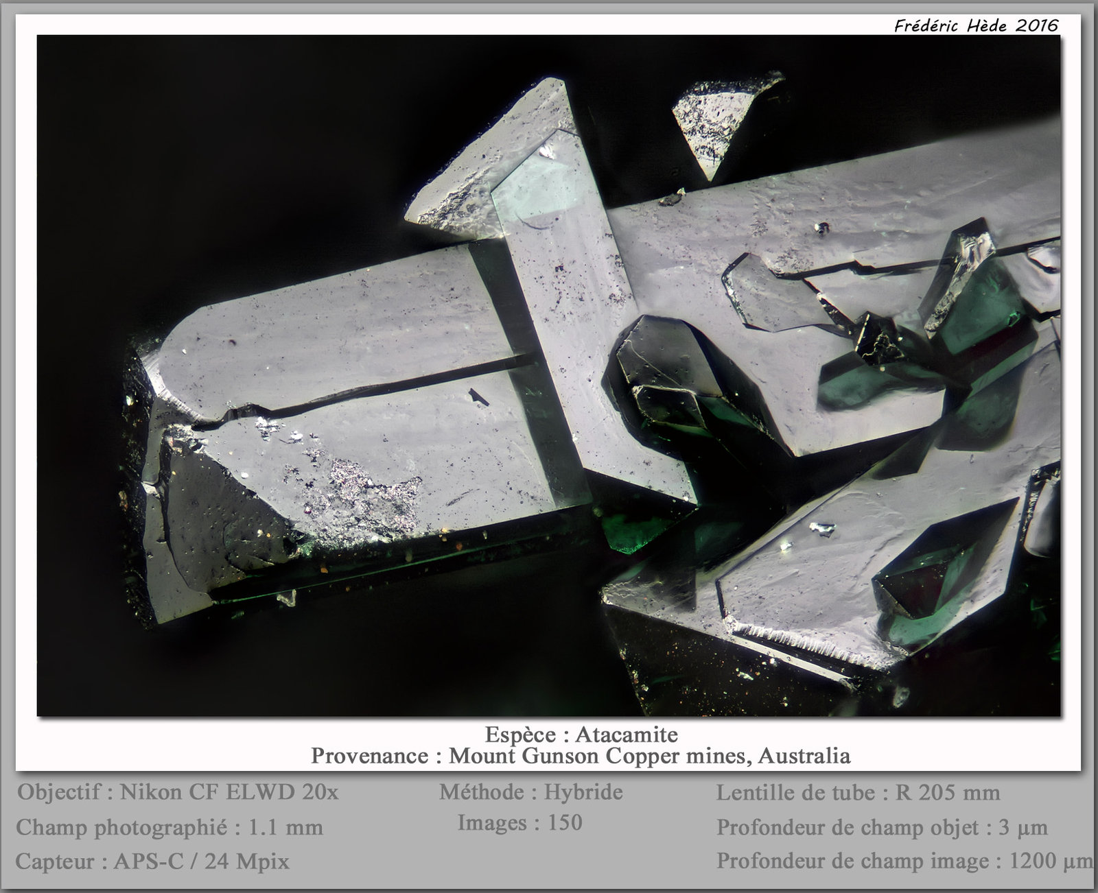 Atacamite
fov 1.1 mm
(Autor: ploum)