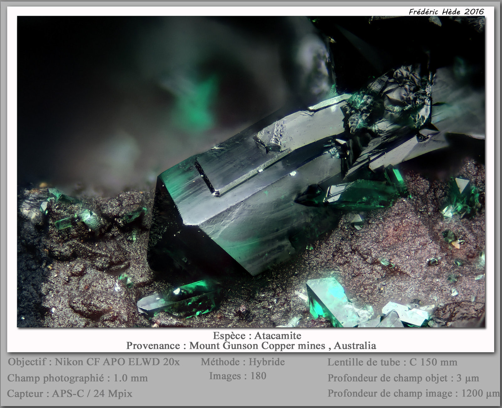Atacamite
fov 1 mm
(Autor: ploum)