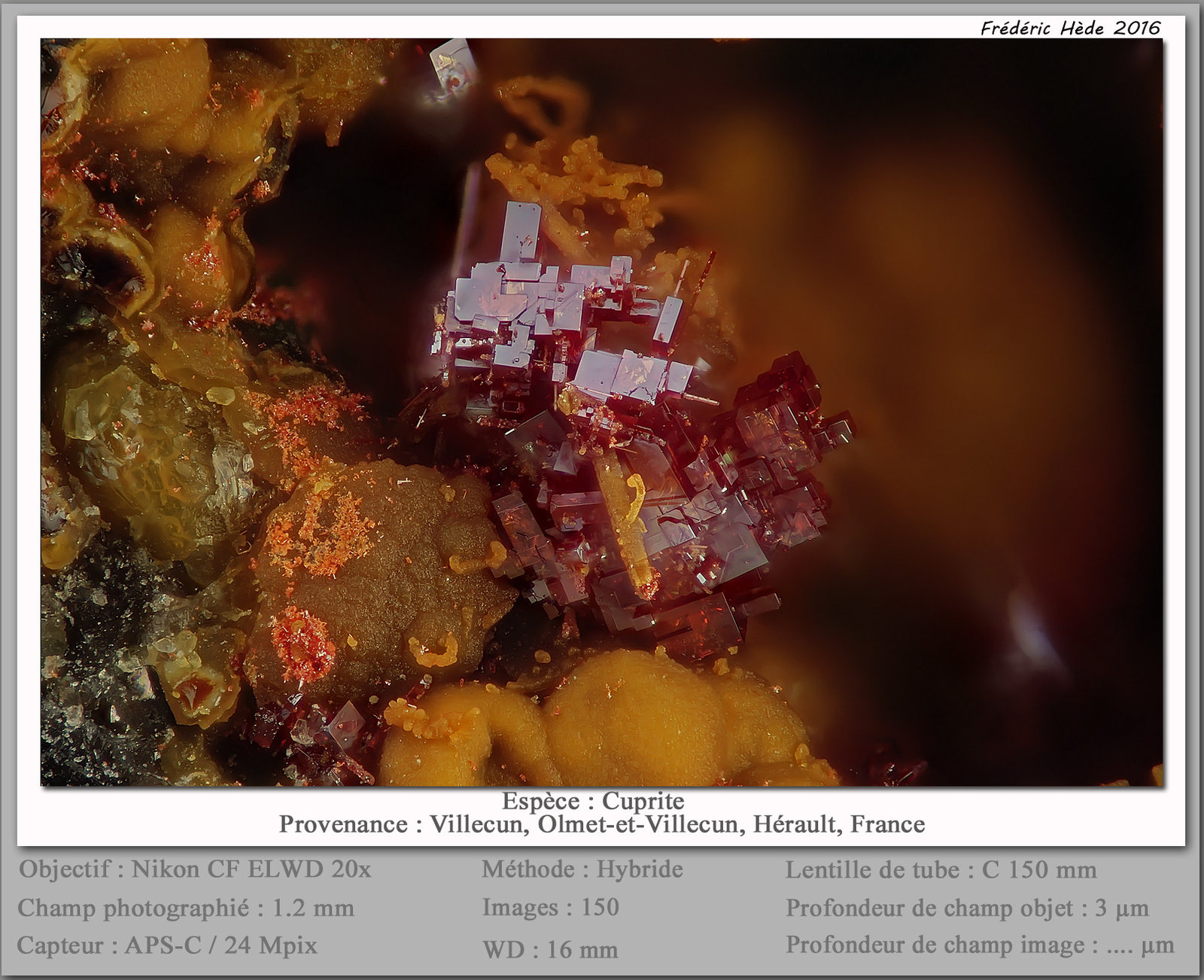 Cuprite
fov 1.2 mm
(Autor: ploum)