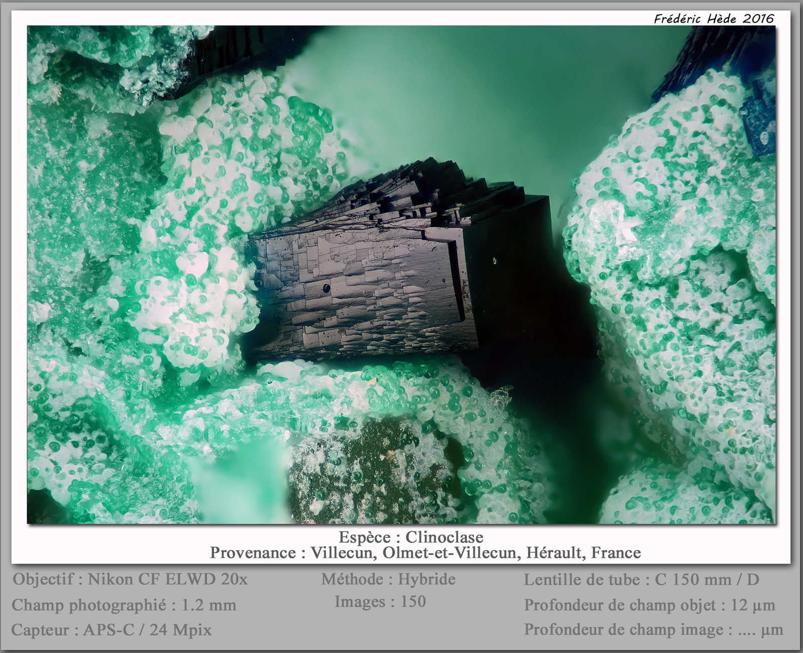 Clinoclase
fov 1.2 mm
(Autor: ploum)
