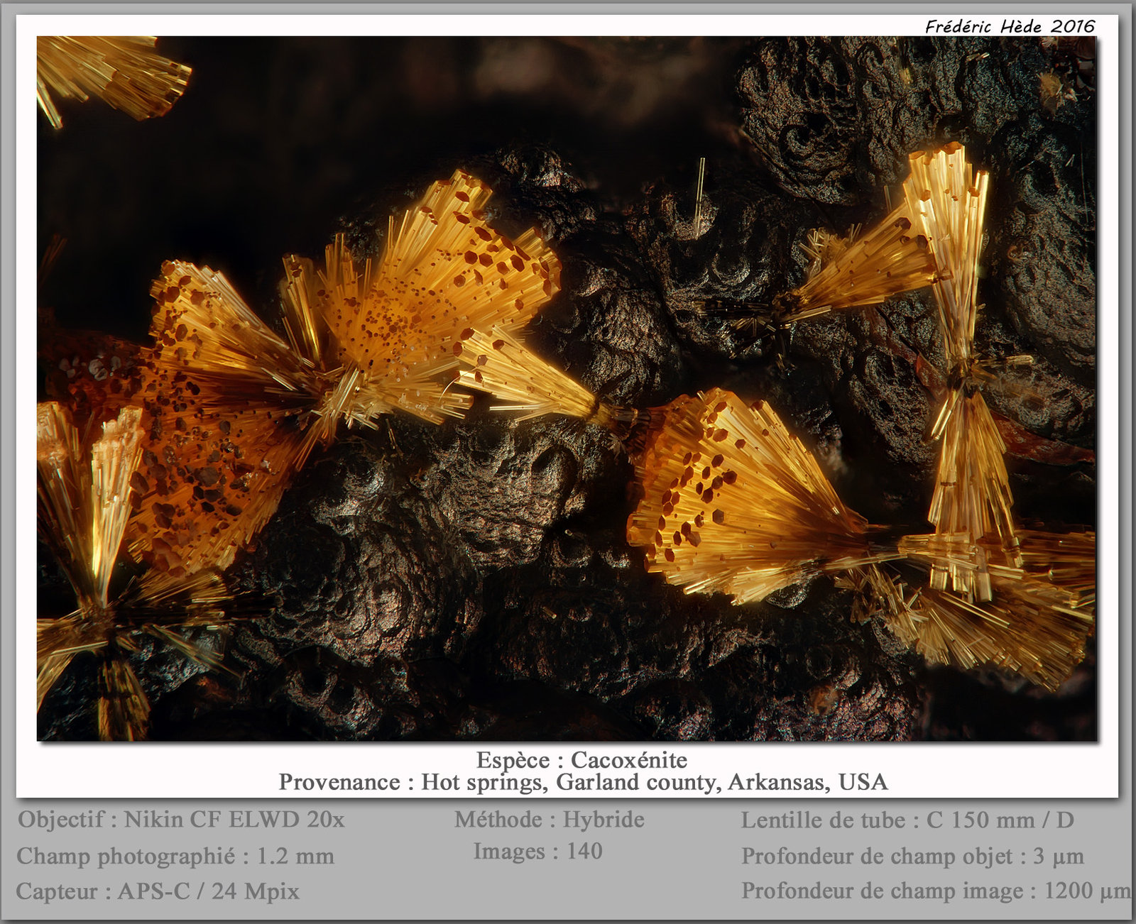 Cacoxenite
fov 1.2 mm
(Autor: ploum)