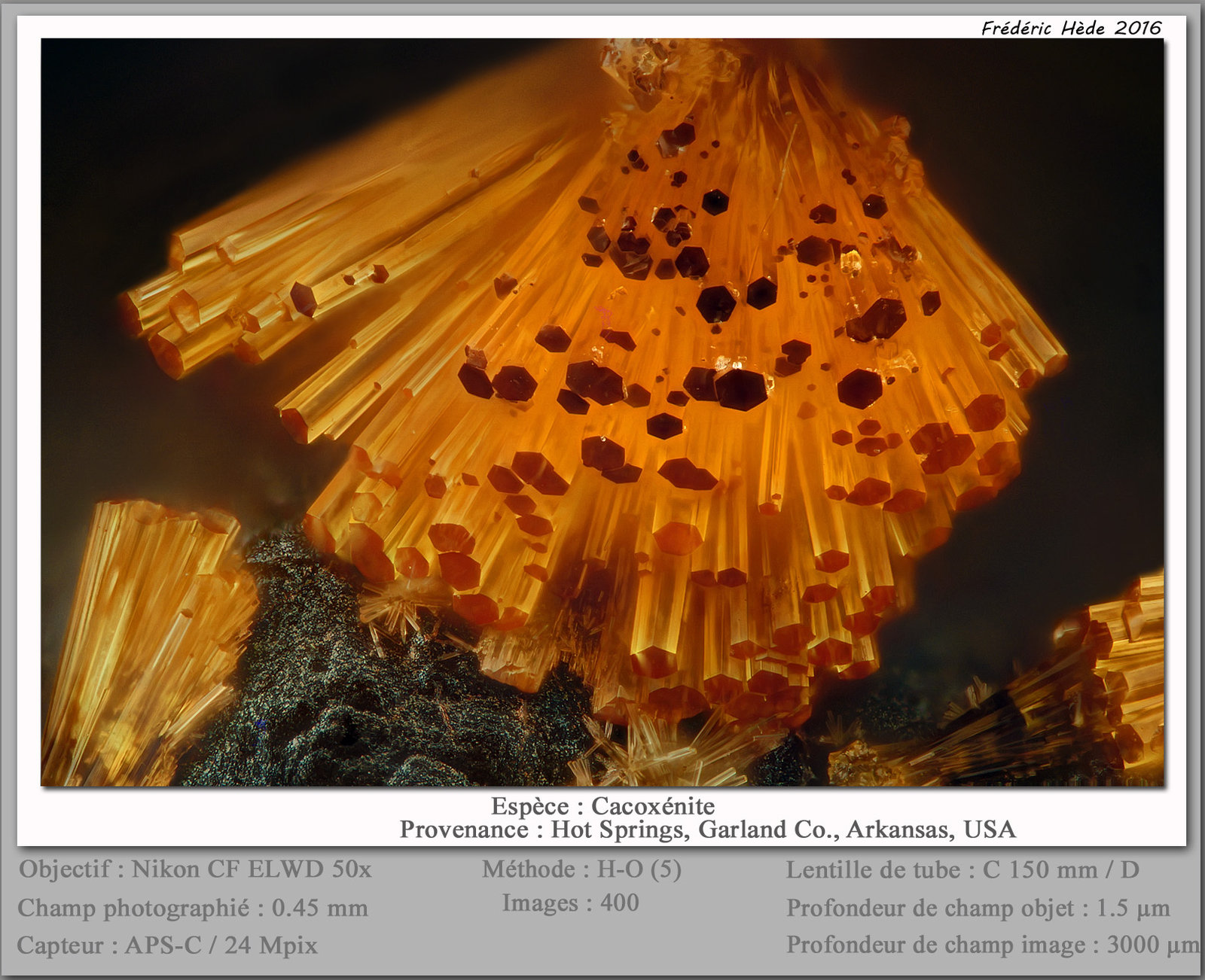 Cacoxenite
fov 0.45 mm
(Autor: ploum)