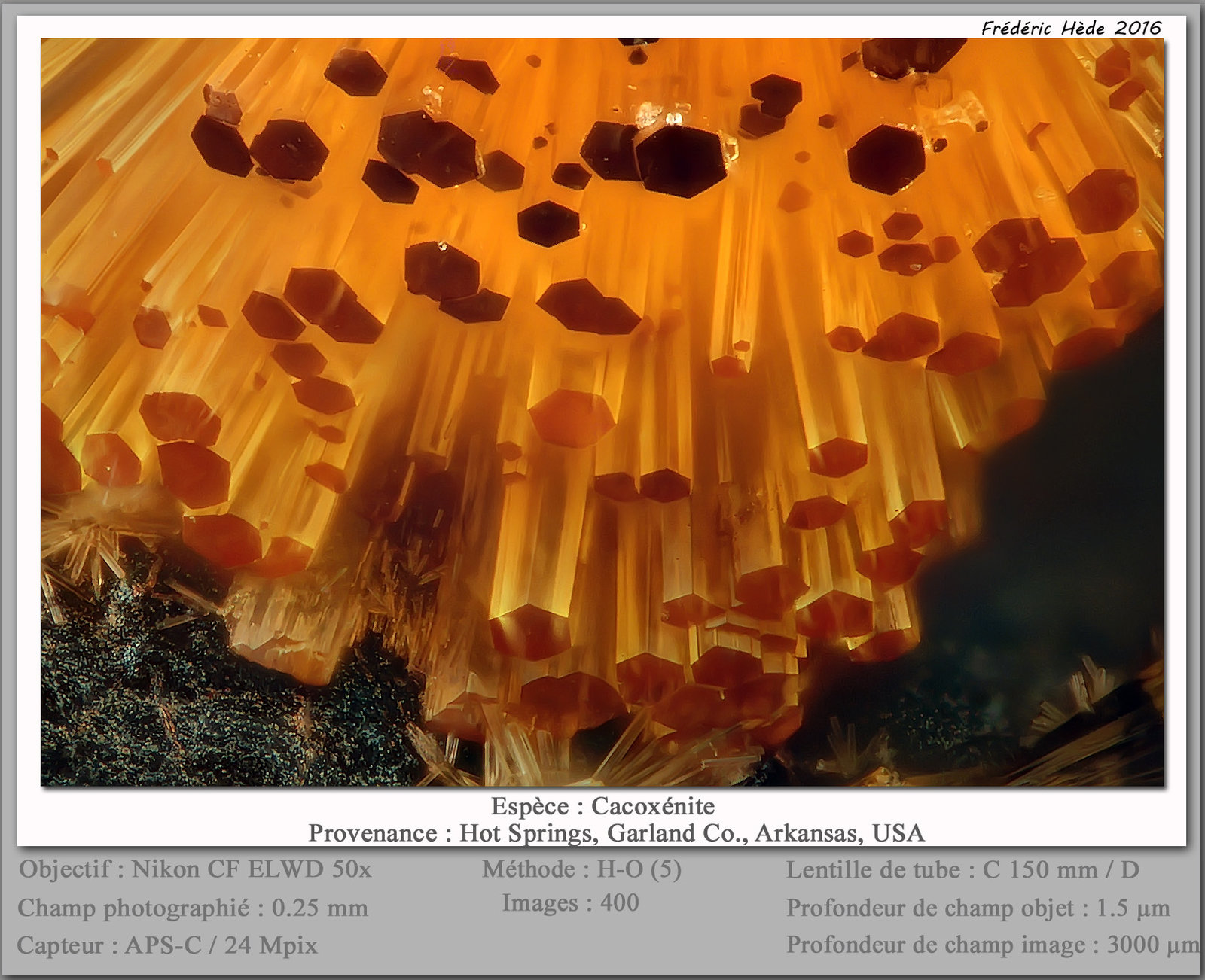 Cacoxenite
fov 0.25 mm
(Autor: ploum)