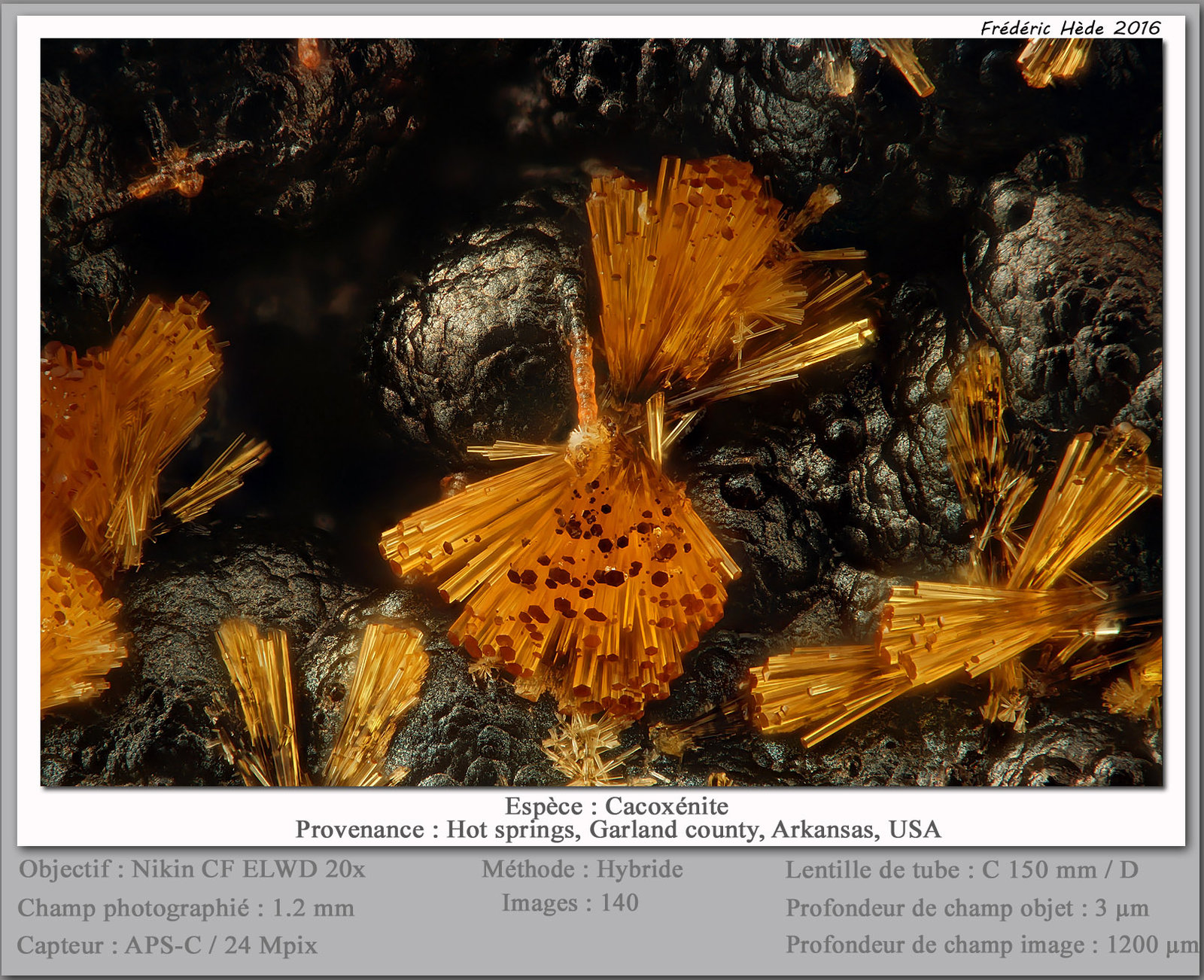 Cacoxenite
fov 1.2 mm
(Autor: ploum)