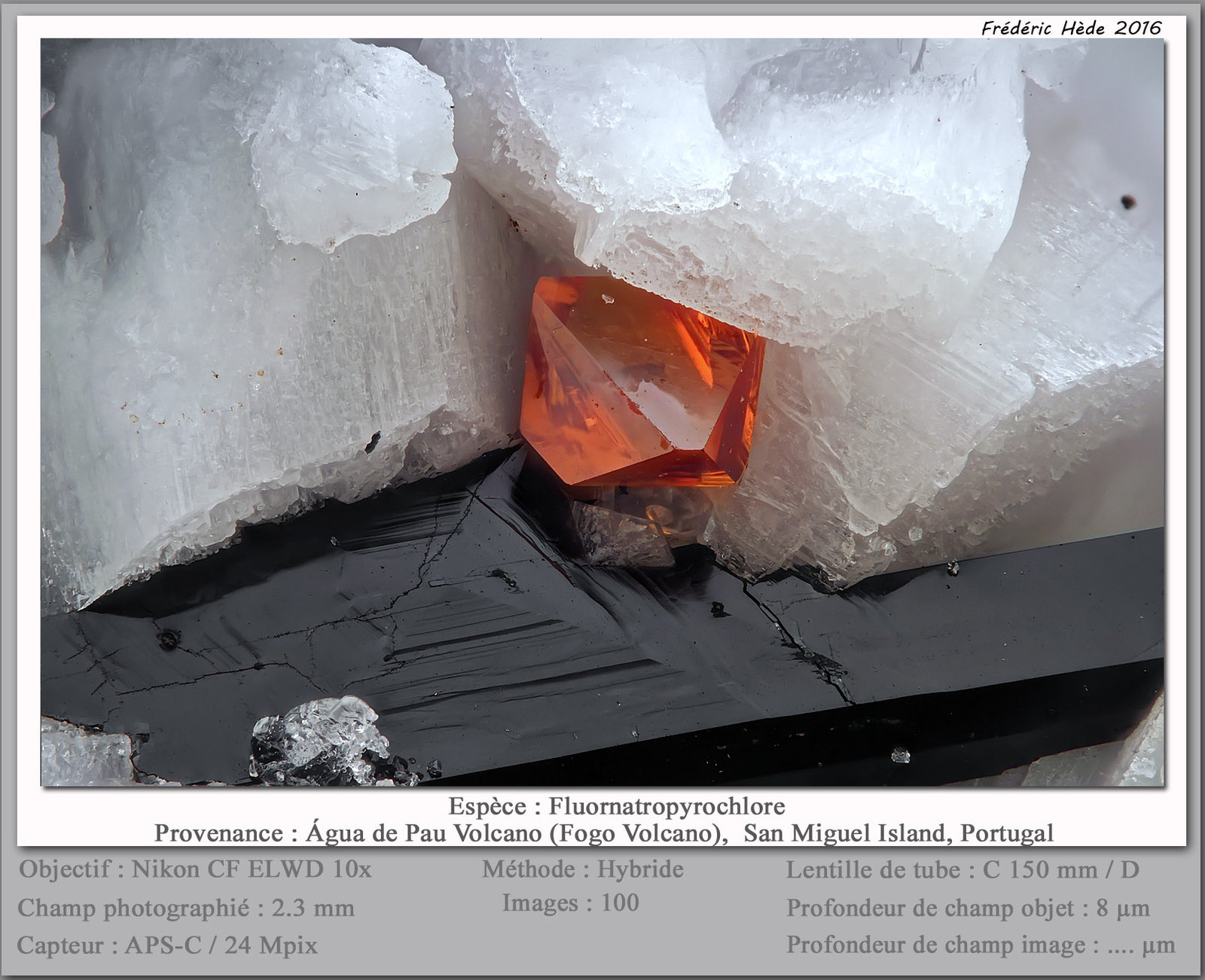 Fluornatropyrochlore
fov 2.3 mm
(Autor: ploum)