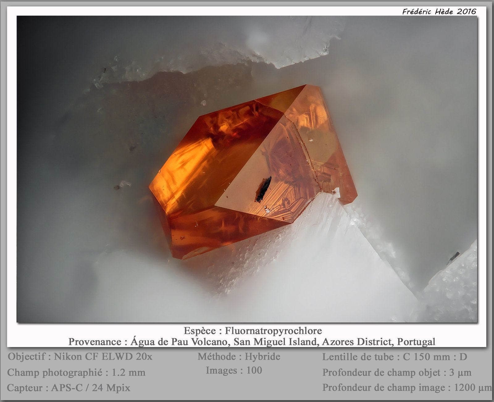 Fluornatropyrochlore
fov 1.2 mm
(Autor: ploum)