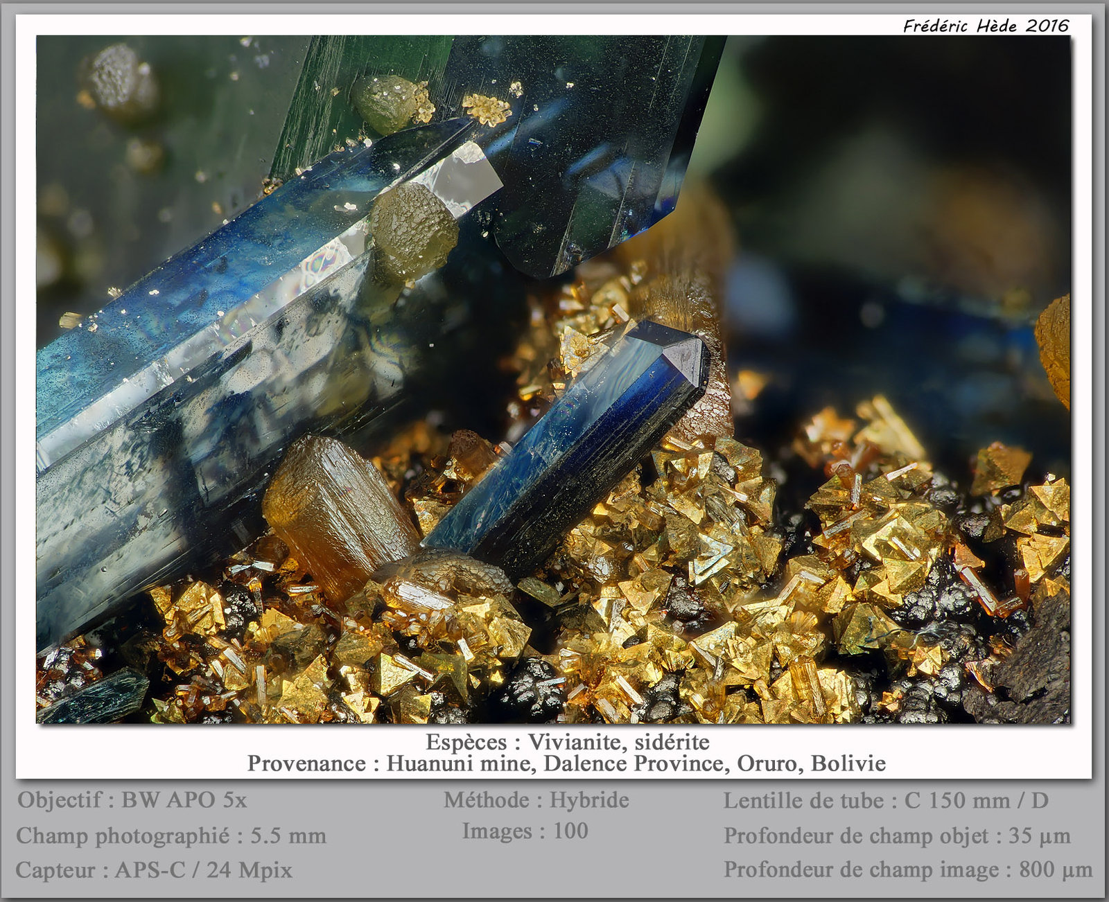 Vivianite, Siderite, Pyrite
fov 5.5 mm
(Autor: ploum)