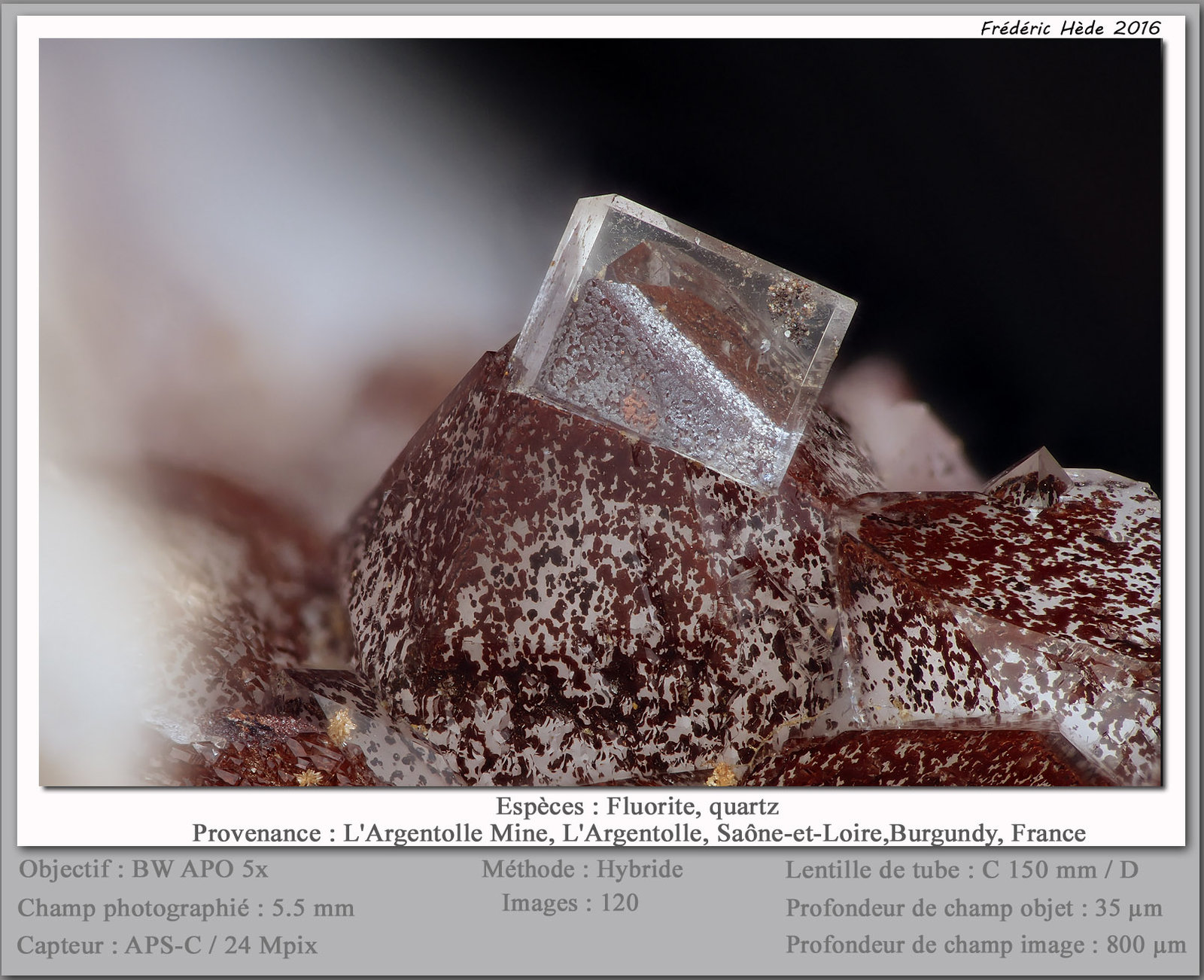 Fluorite on Quartz
fov 5.5 mm
(Autor: ploum)