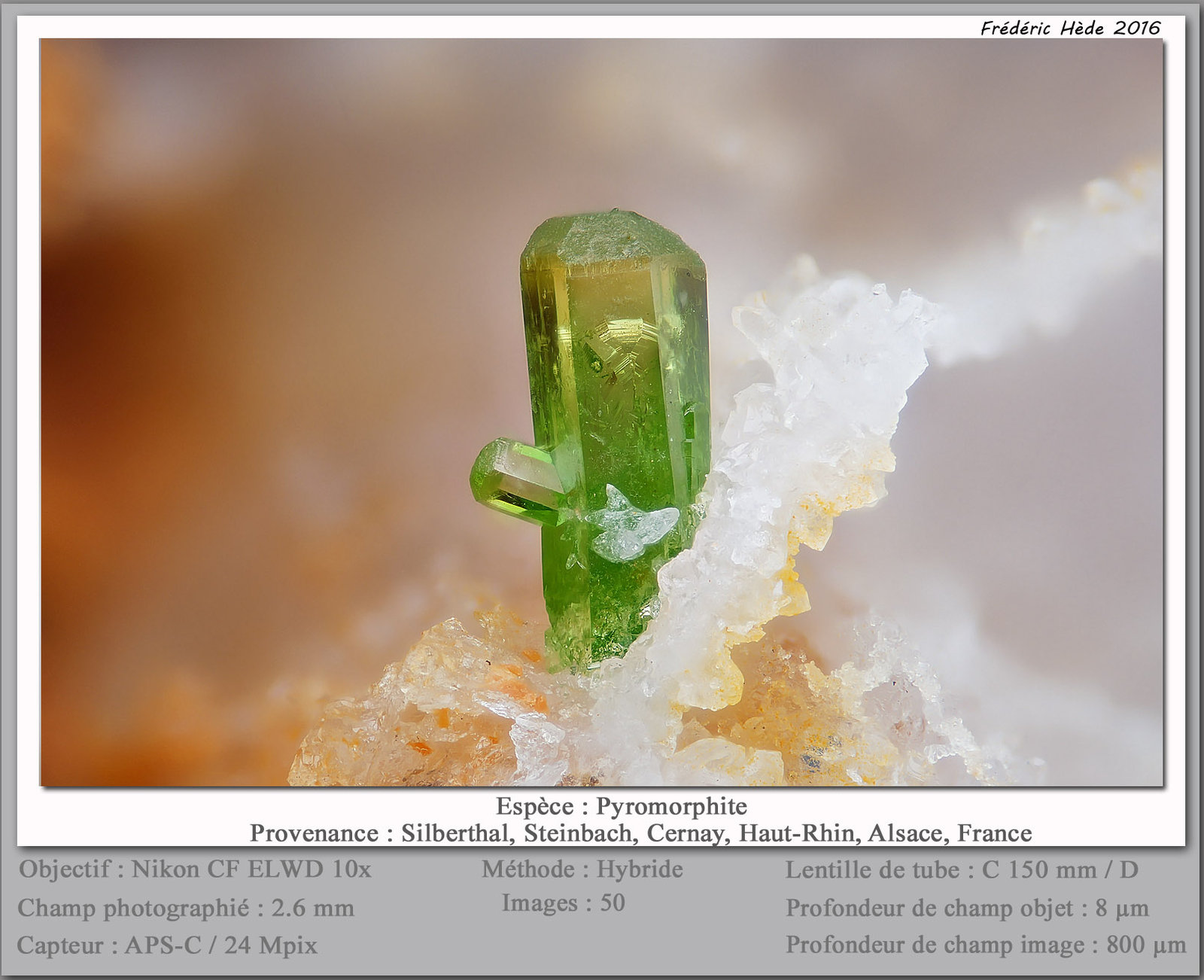 Pyromorphite
fov 2.6 mm
(Autor: ploum)