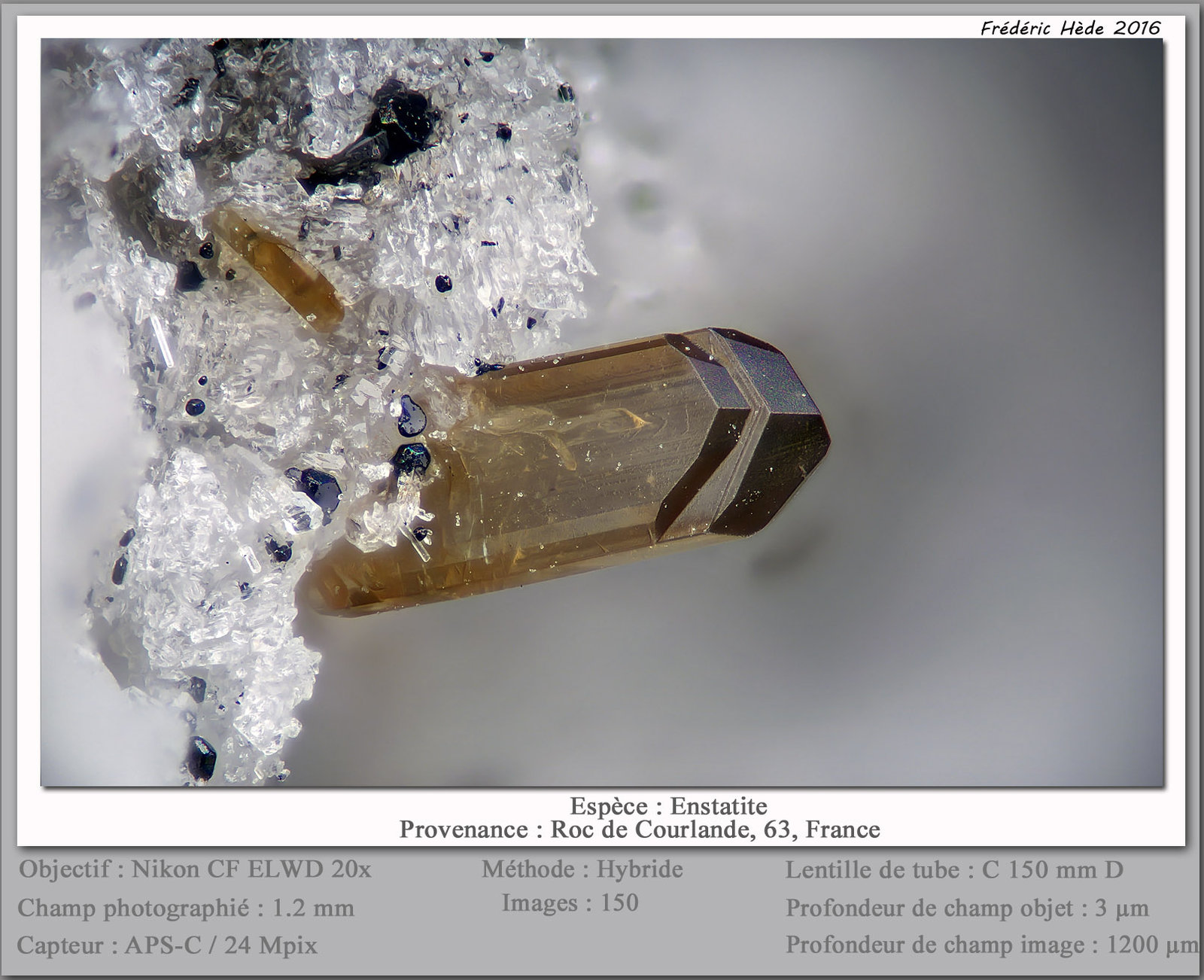 Enstatite
fov 1.2 mm
(Autor: ploum)