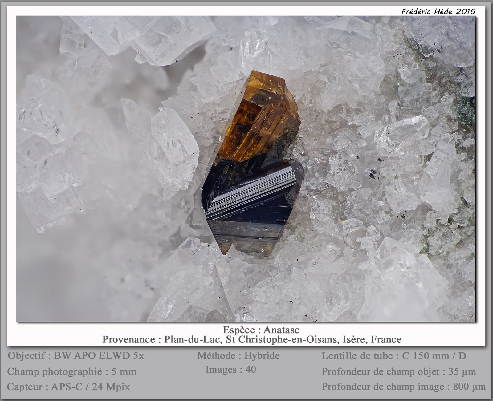 Anatase
fov 5 mm
(Autor: ploum)