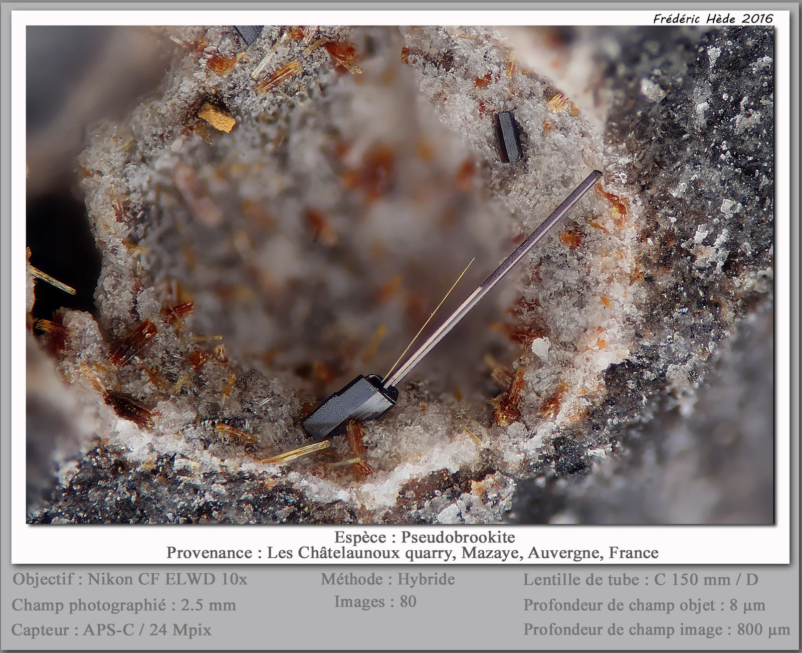 Pseudobrookite
fov 2.5 mm
(Autor: ploum)