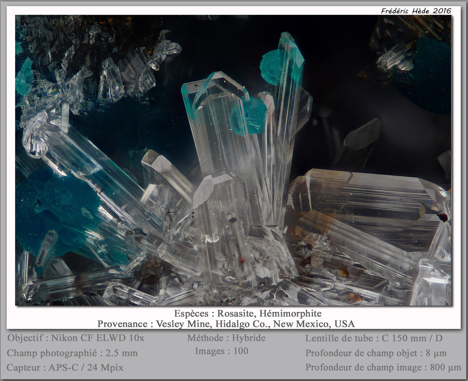 Hemimorphite et Rosasite
fov 2.5 mm
(Autor: ploum)