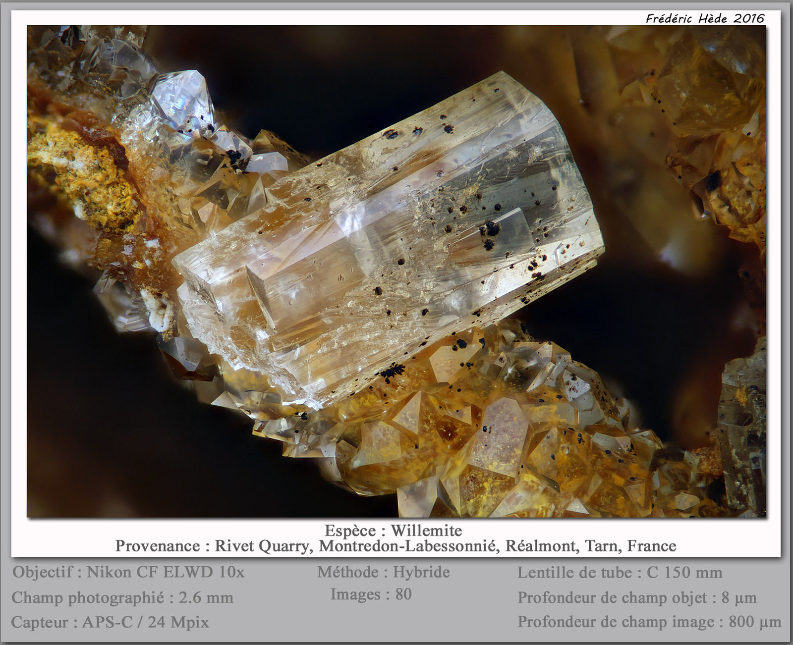 Willemite
fov 2.6 mm
(Autor: ploum)