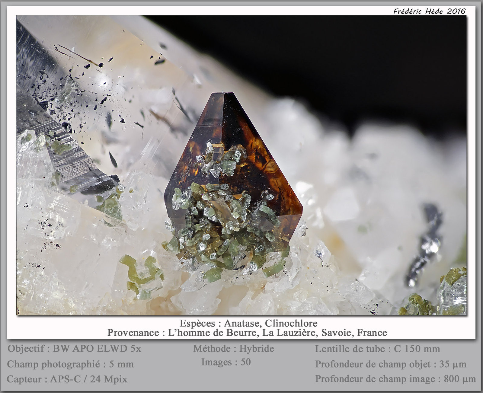 Anatase and Clinochlore on Quartz
fov 5 mm
(Autor: ploum)