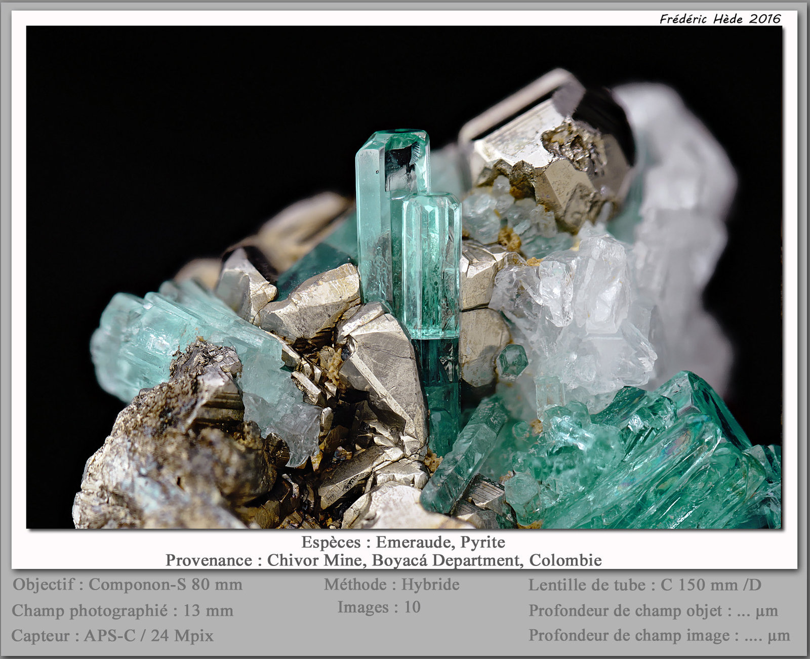Beryl (variety emerald) with Pyrite
fov 12 mm
(Autor: ploum)