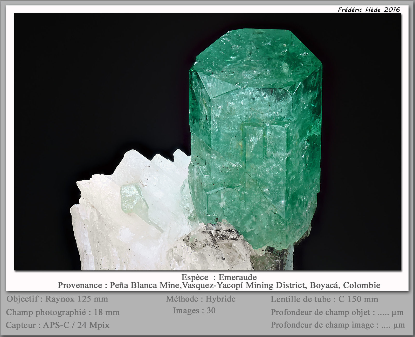Beryl (variety emerald)
fov 18 mm
(Autor: ploum)