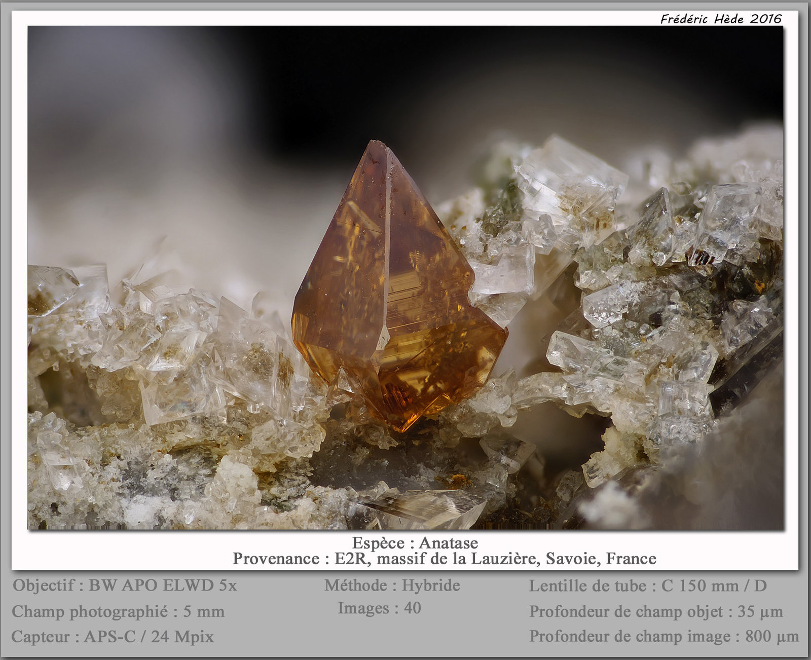 Anatase
fov 5 mm
(Autor: ploum)