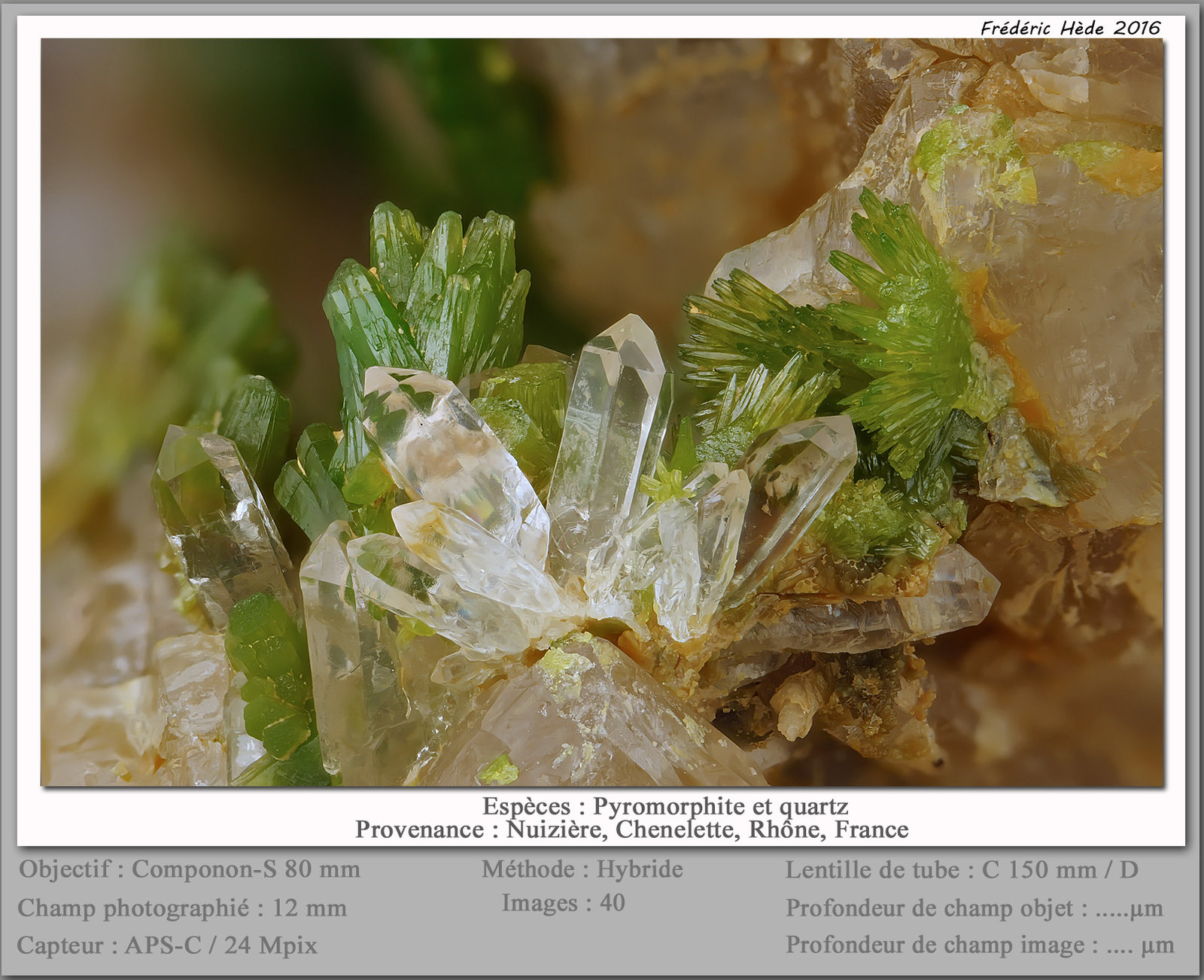 Pyromorphite and Quartz
fov 12 mm
(Autor: ploum)