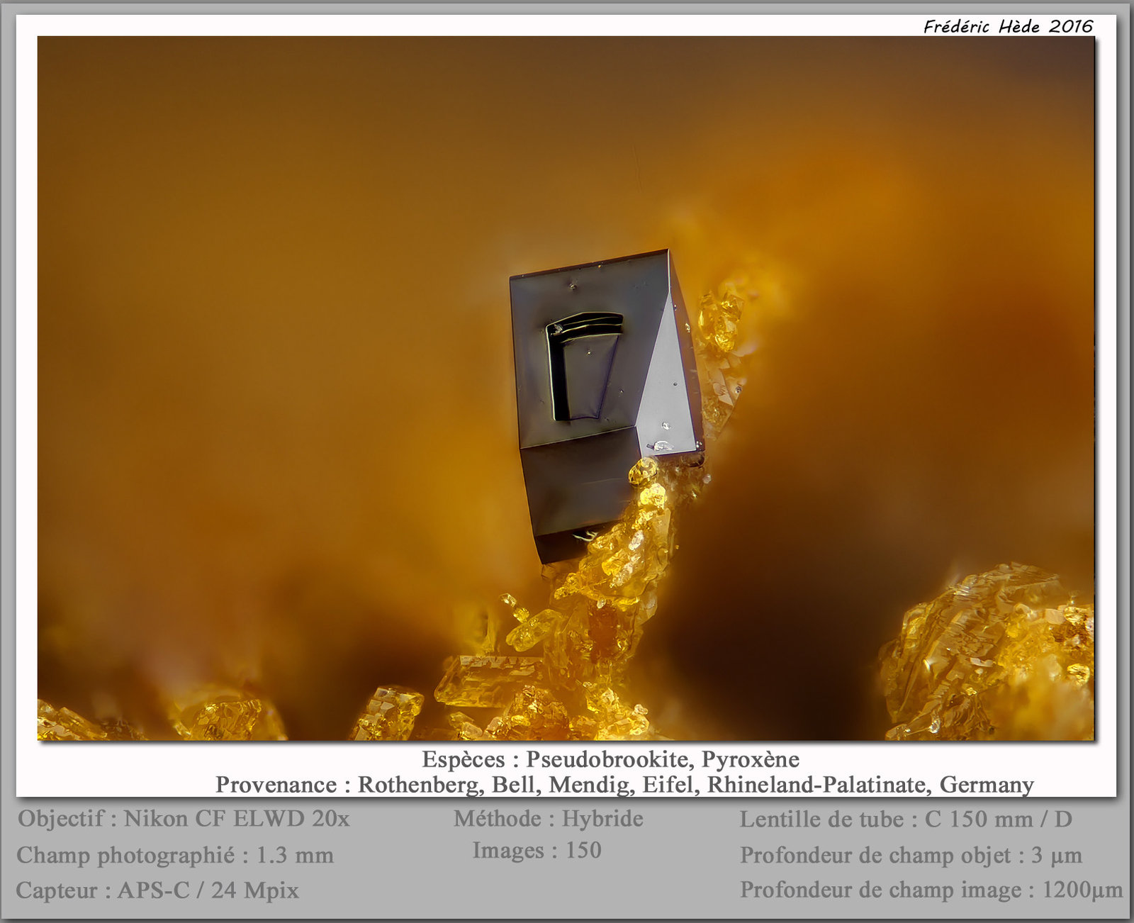 Pseudobrookite on pyroxen
fov 1.3 mm
(Autor: ploum)