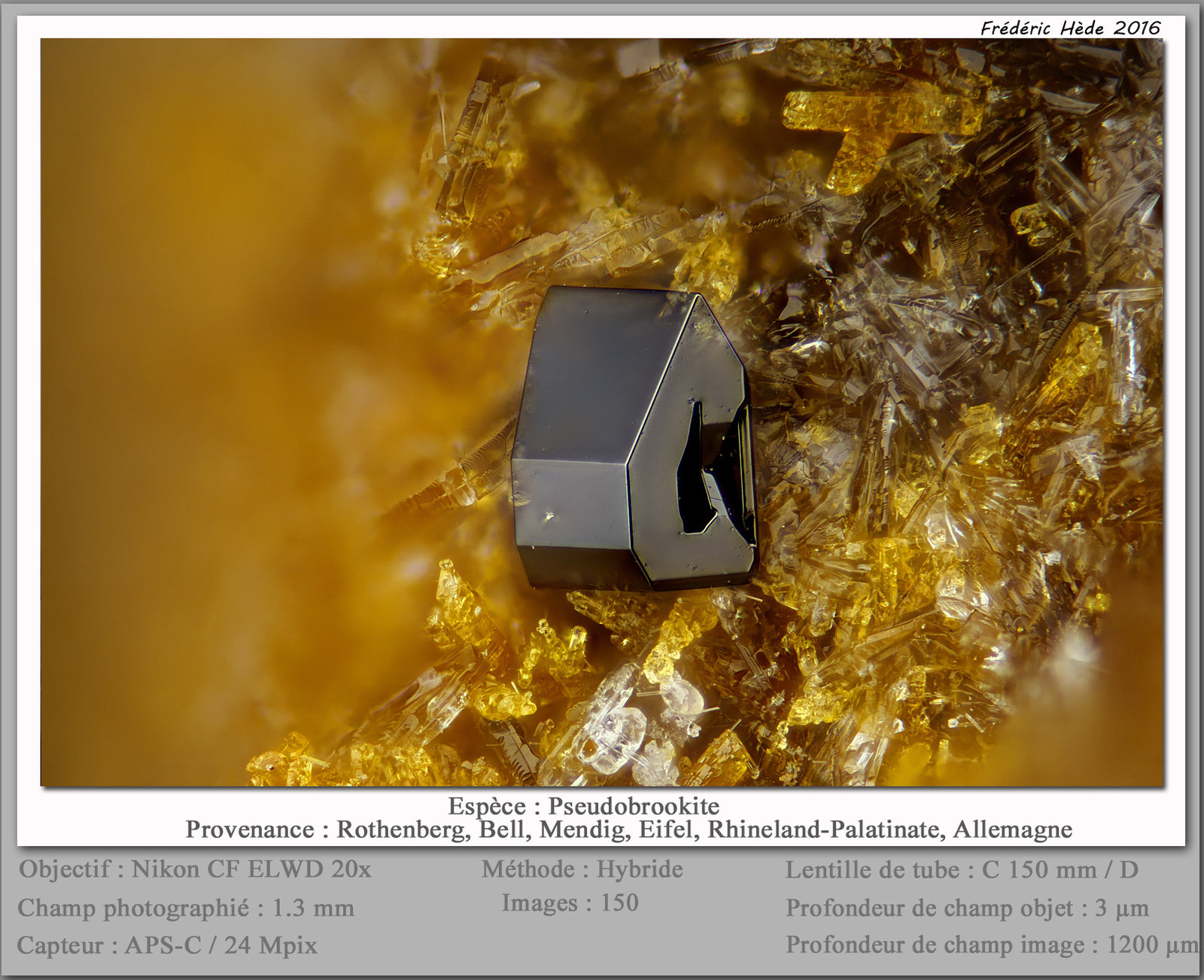 Pseudobrookite on pyroxen
fov 1.3 mm
(Autor: ploum)