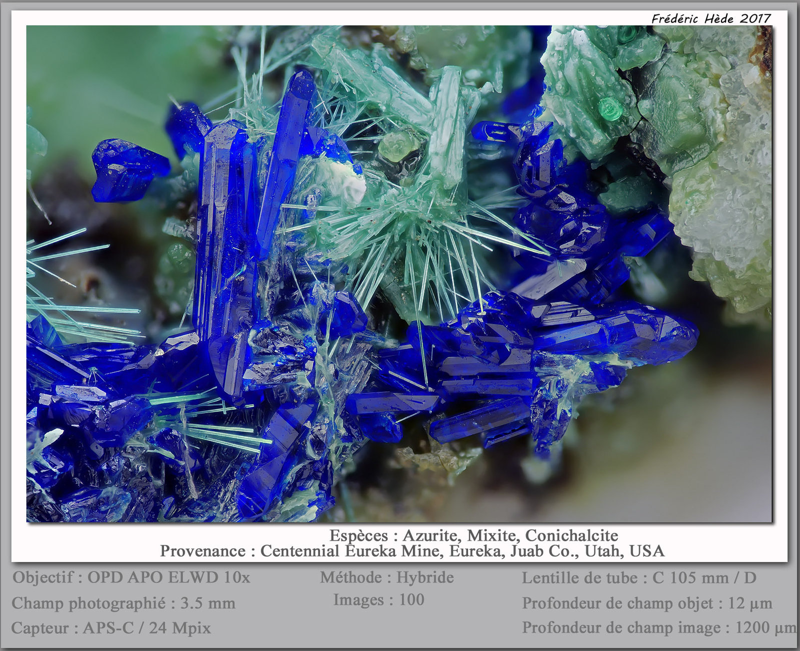 Azurite, Mixite and Conichalcite
fov 3.5 mm
(Autor: ploum)